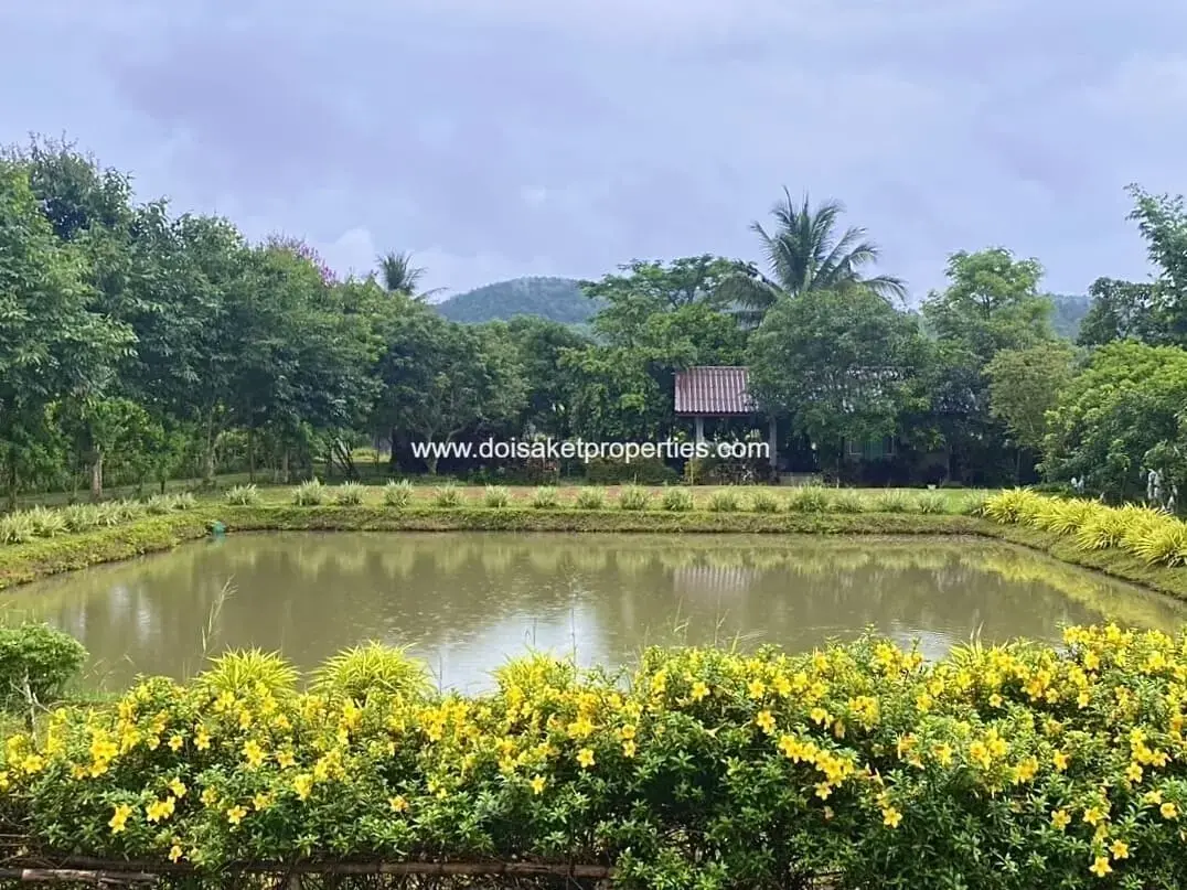 (HS379-05) Lovely Garden Home and Guest Houses with Rice Field Views for Sale in Wiang Pa Pao, Chiang Rai