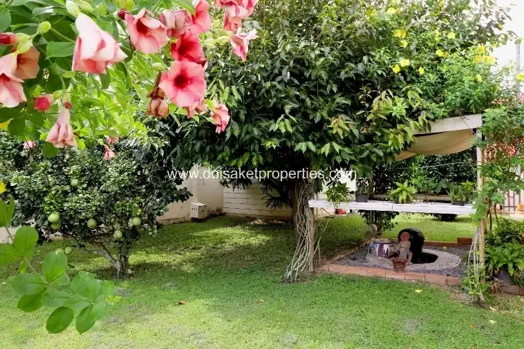 (HS381-02) Charming 2-Bedroom Home with Private Pool and Rice Field Views in Pa Pong, Doi Saket