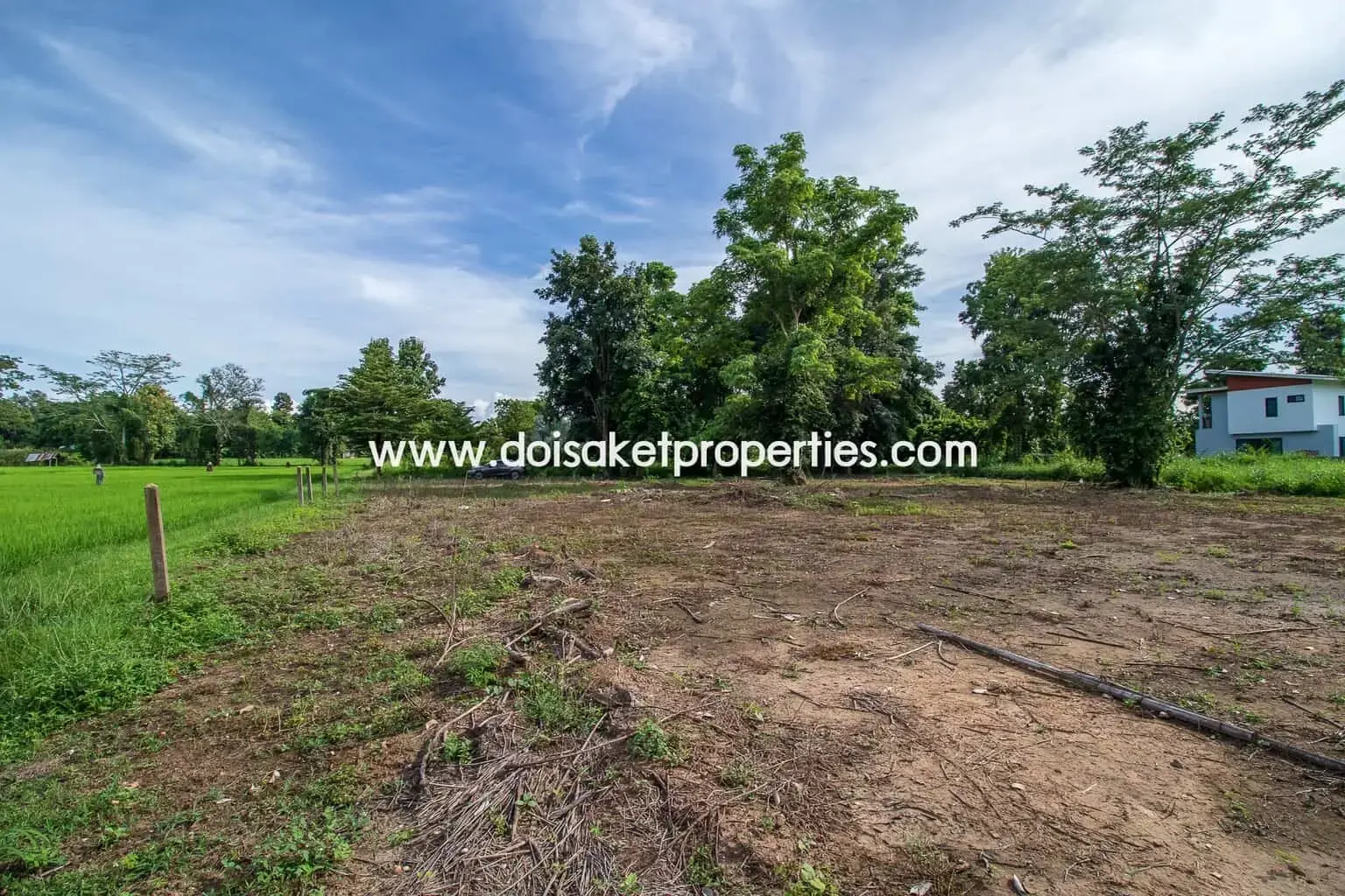 (LS317-00) Nice Plot of Land with Rice Paddy and Mountain Views for Sale in a Moo Ban in Doi Saket