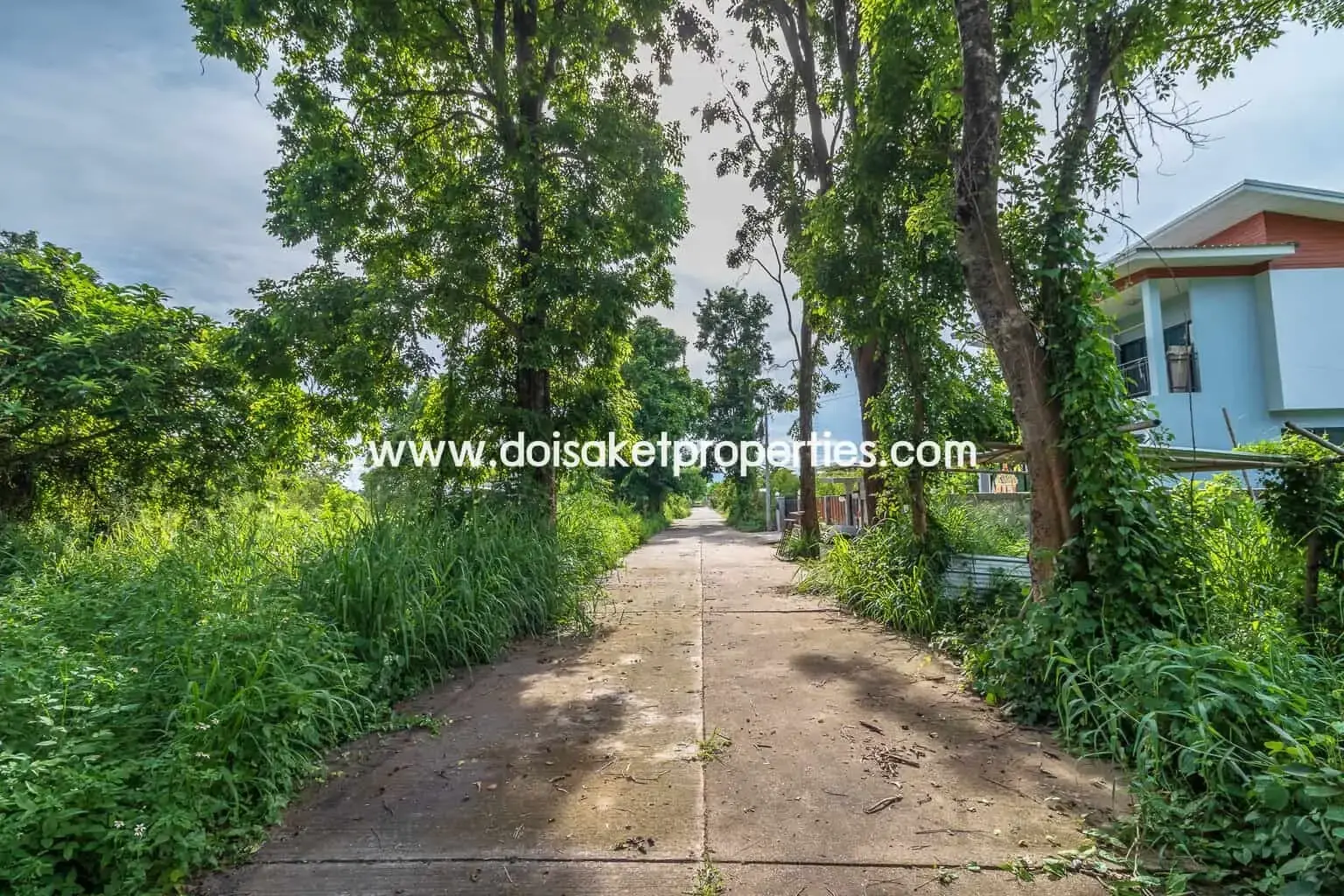 (LS317-00) Nice Plot of Land with Rice Paddy and Mountain Views for Sale in a Moo Ban in Doi Saket