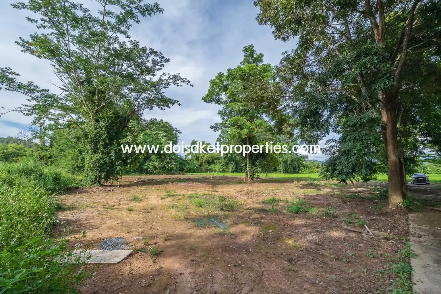 (LS317-00) Nice Plot of Land with Rice Paddy and Mountain Views for Sale in a Moo Ban in Doi Saket