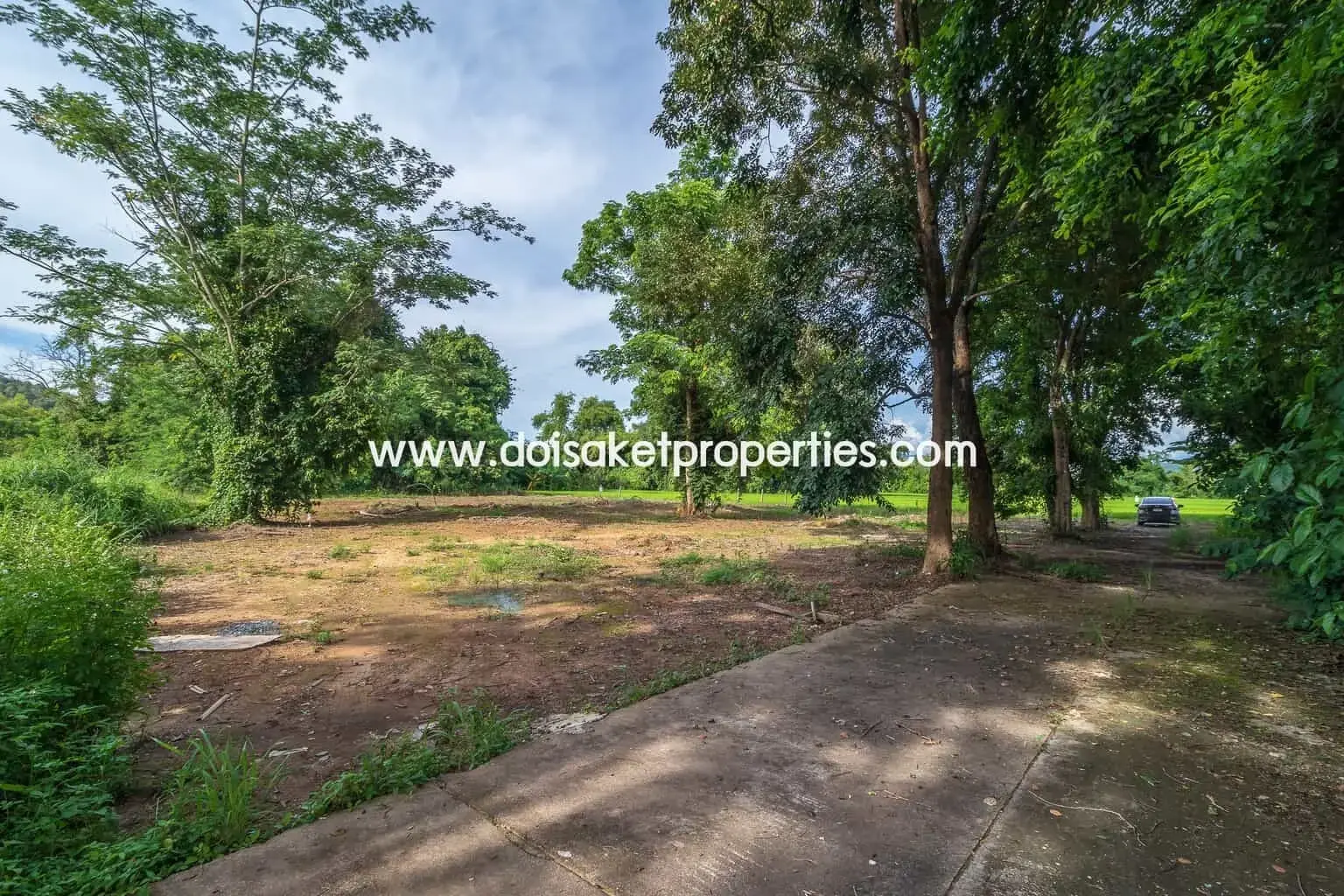 (LS317-00) Nice Plot of Land with Rice Paddy and Mountain Views for Sale in a Moo Ban in Doi Saket