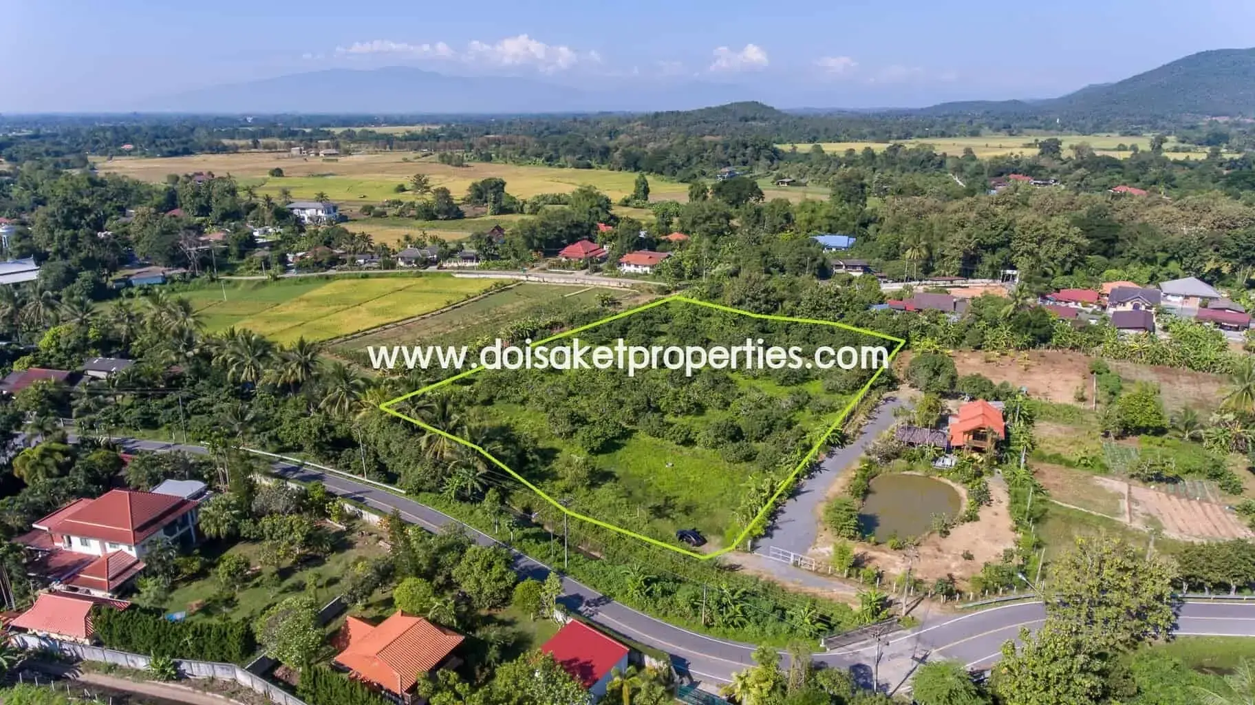 (LS328-05) Nice Plot of Land Full of Longan Trees for Sale in Luang Nuea, Doi Saket