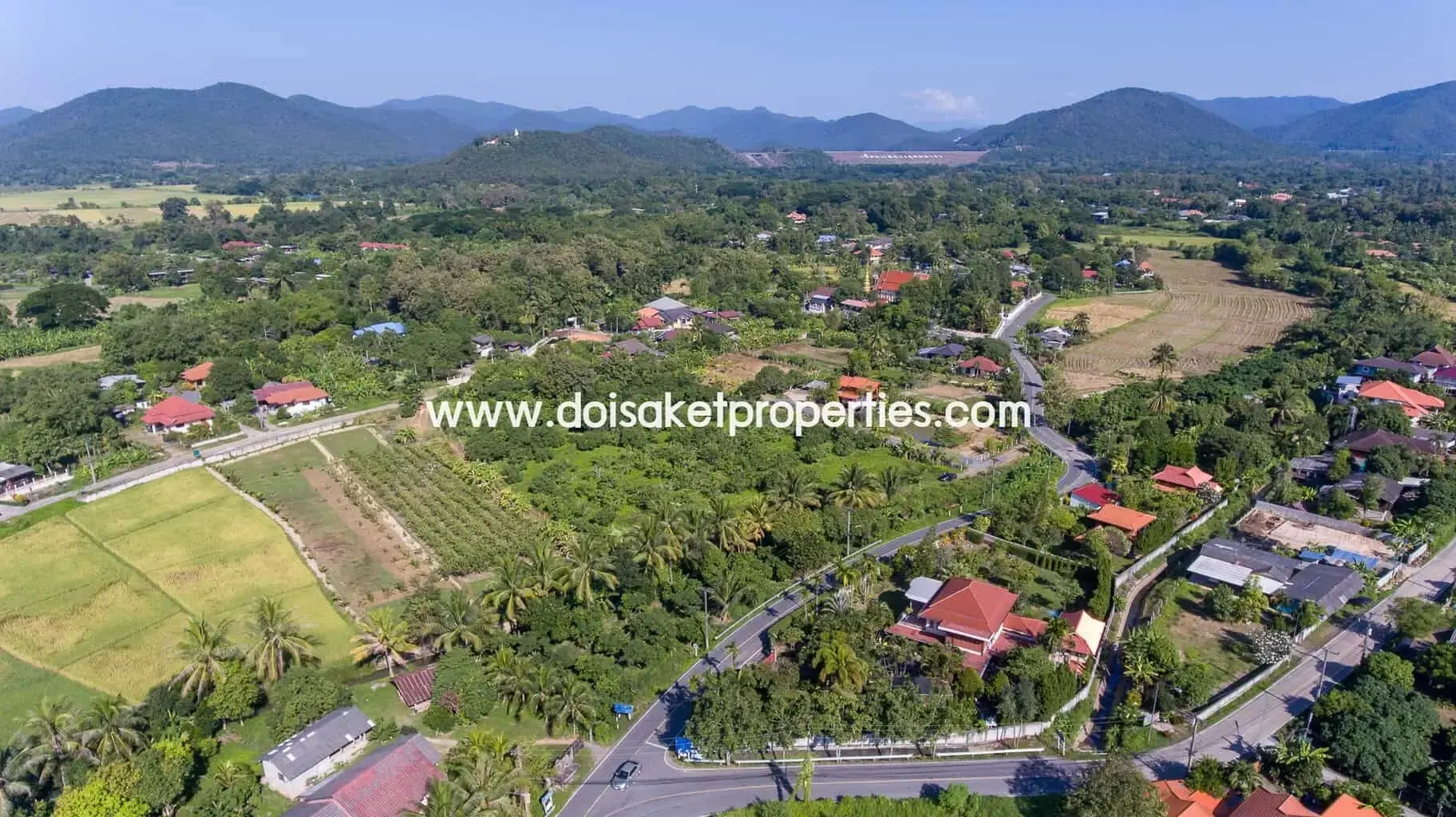 (LS328-05) Nice Plot of Land Full of Longan Trees for Sale in Luang Nuea, Doi Saket