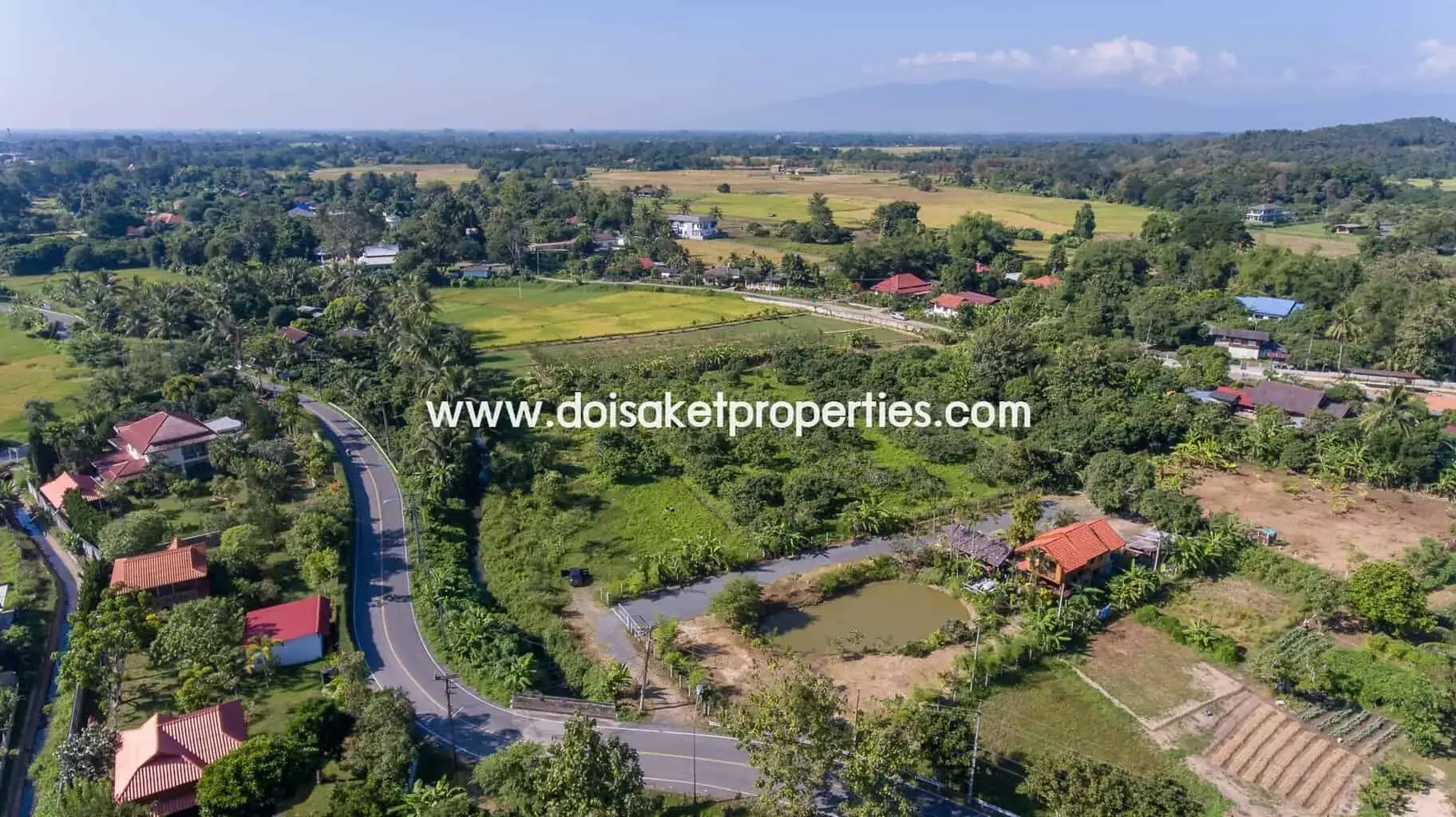 (LS328-05) Nice Plot of Land Full of Longan Trees for Sale in Luang Nuea, Doi Saket