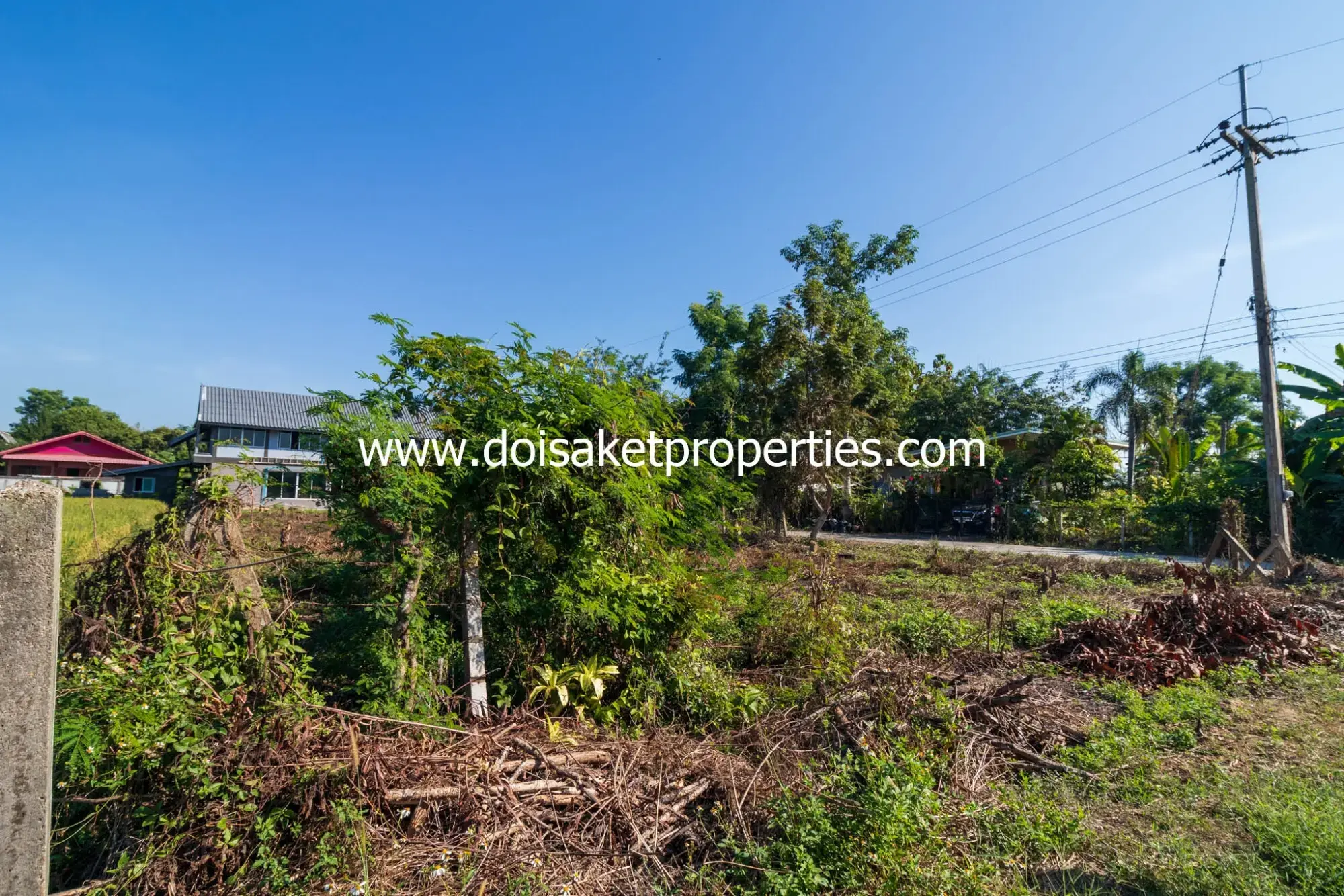 (LS340-00) Nice Plot of Land with Great View for Sale in Sa-Nga Ban, Doi Saket