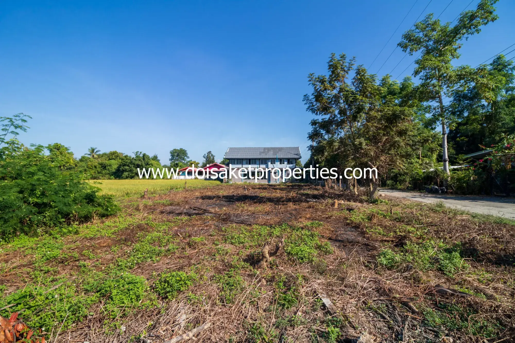 (LS340-00) Nice Plot of Land with Great View for Sale in Sa-Nga Ban, Doi Saket