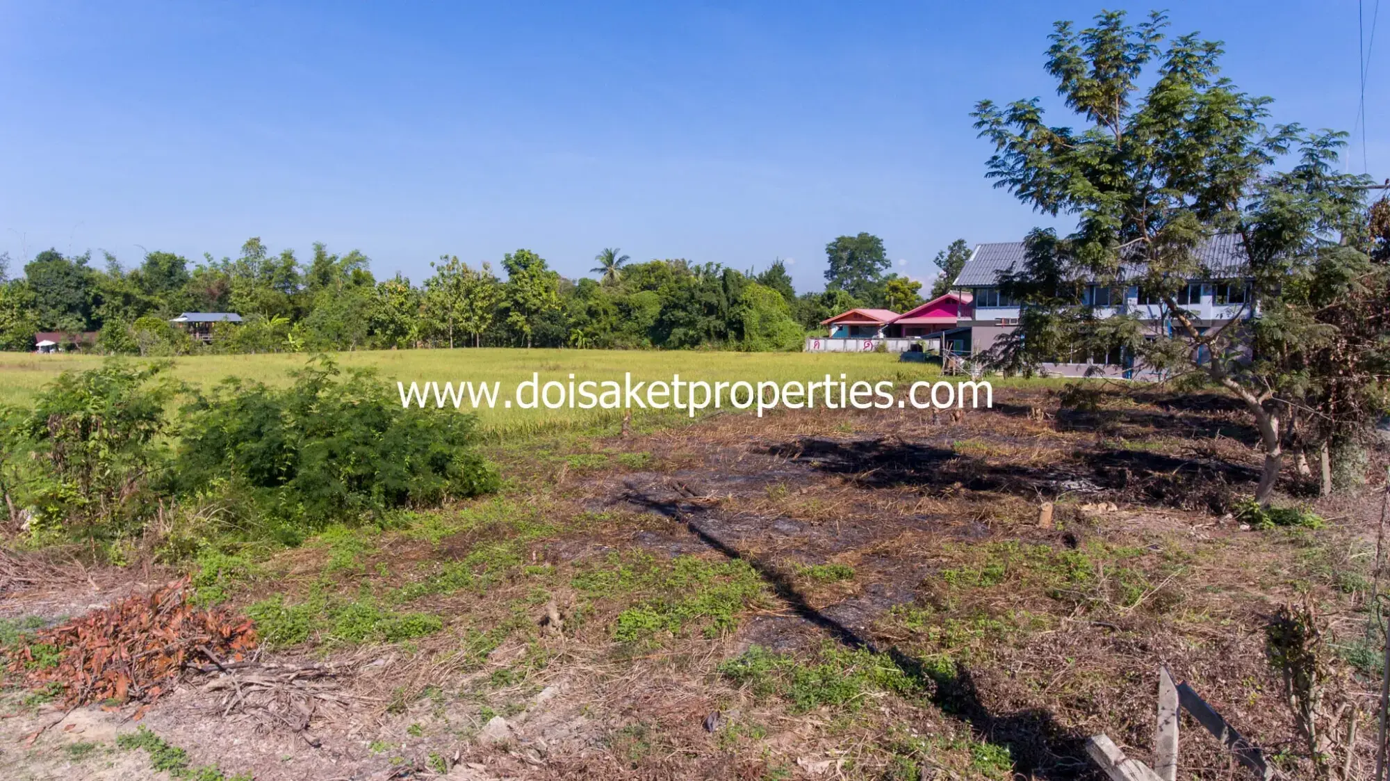 (LS341-00) Nice Plot of Land with Great View for Sale in Sa-Nga Ban, Doi Saket