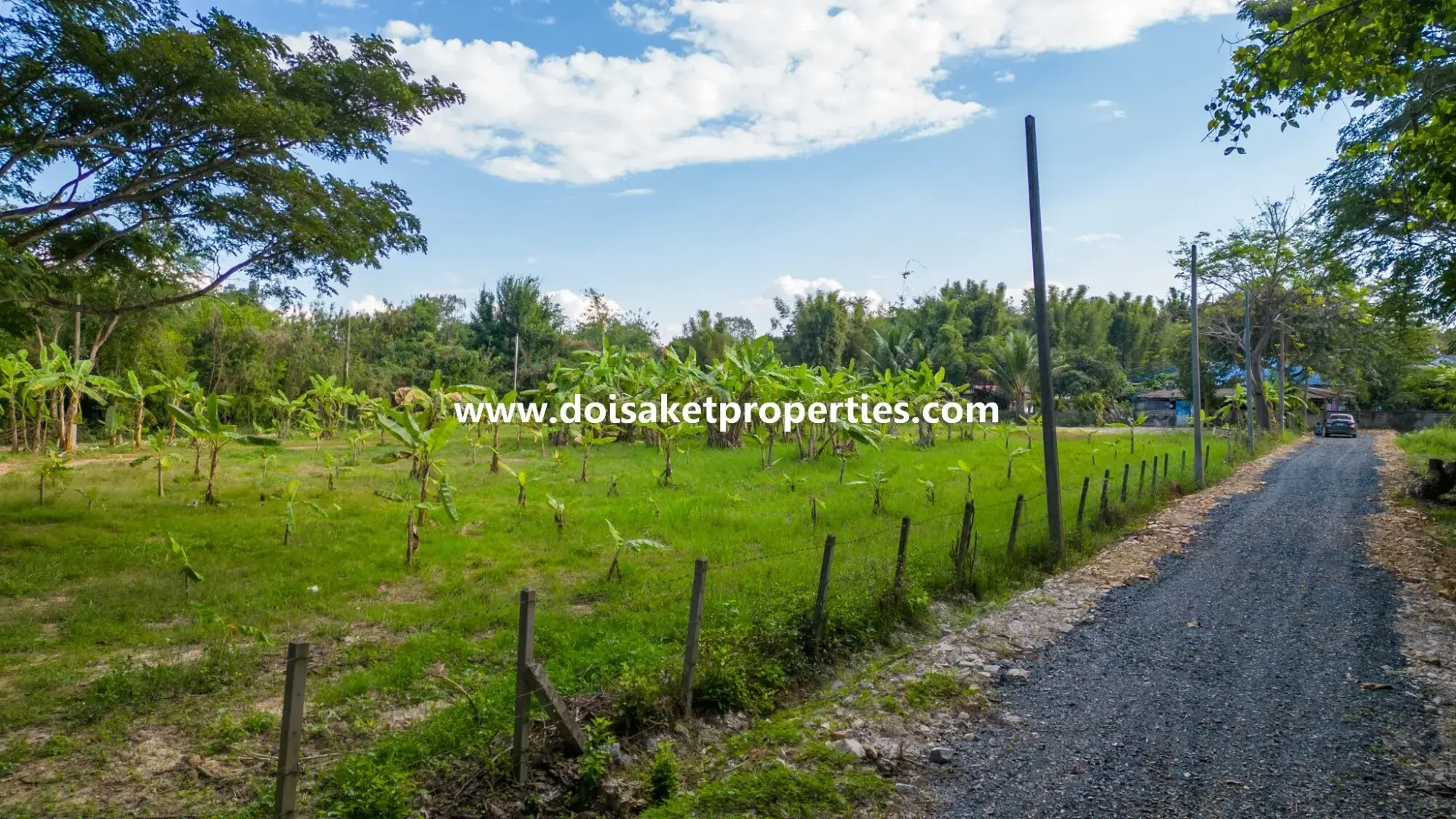 (LS379-02) 2.5+ Rai of Nice Land for Sale in Luang Nuea, Doi Saket