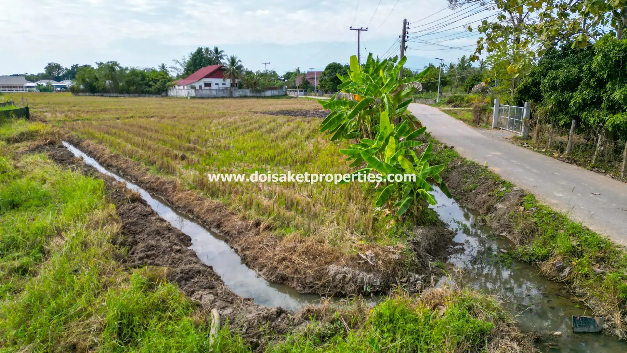 (LS388-01) Nice 1+ Rai Plot of Land with Great View for Sale in Choeng Doi, Doi Saket