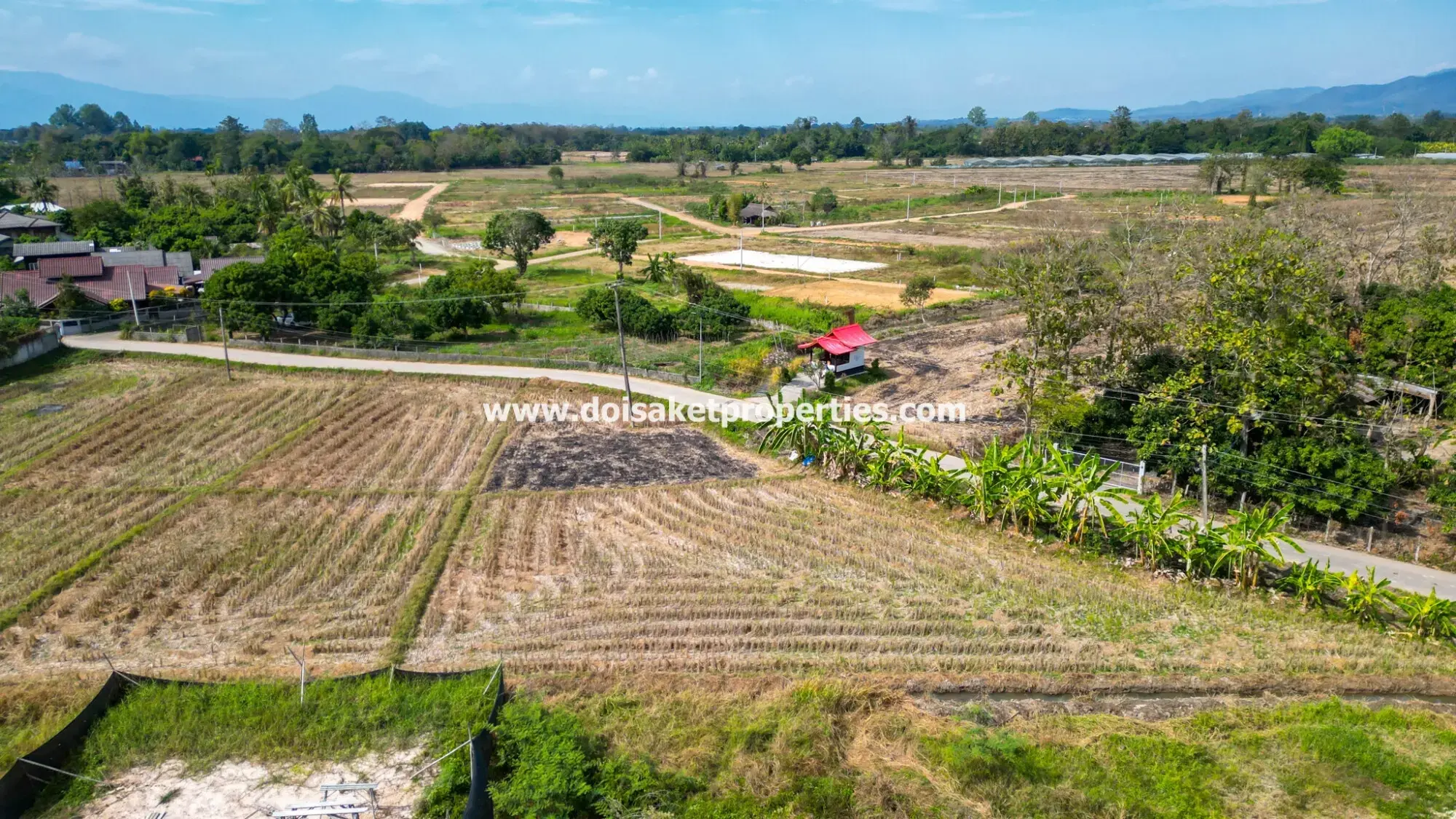 (LS388-01) Nice 1+ Rai Plot of Land with Great View for Sale in Choeng Doi, Doi Saket