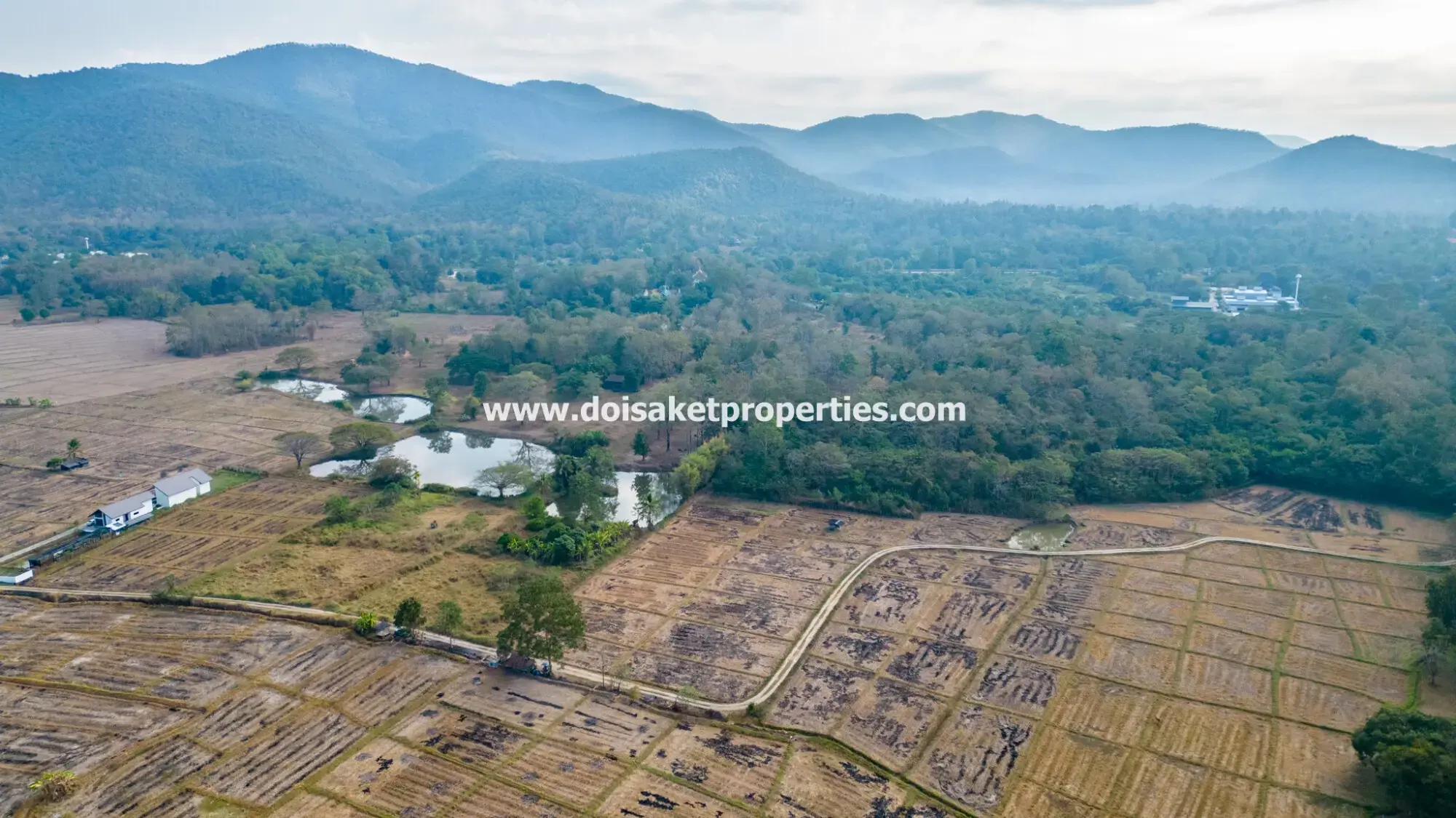 (LS390-19) Great 19.5+ Rai Plot of Land for Sale in Luang Nua, Doi Saket
