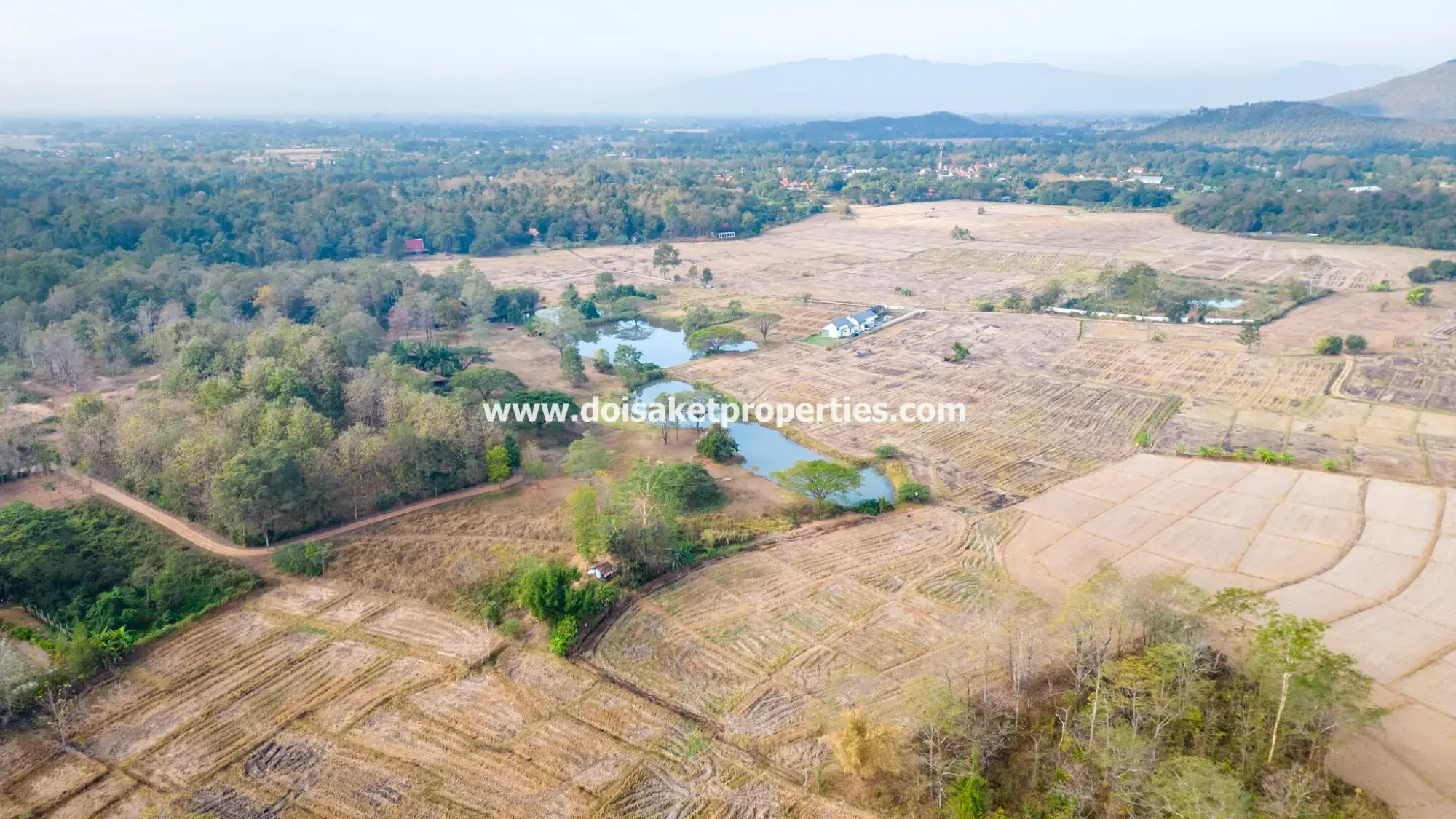 (LS391-49) Beautiful ~49 Rai Plot of Land with Incredible Views for Sale in Luang Nua, Doi Saket