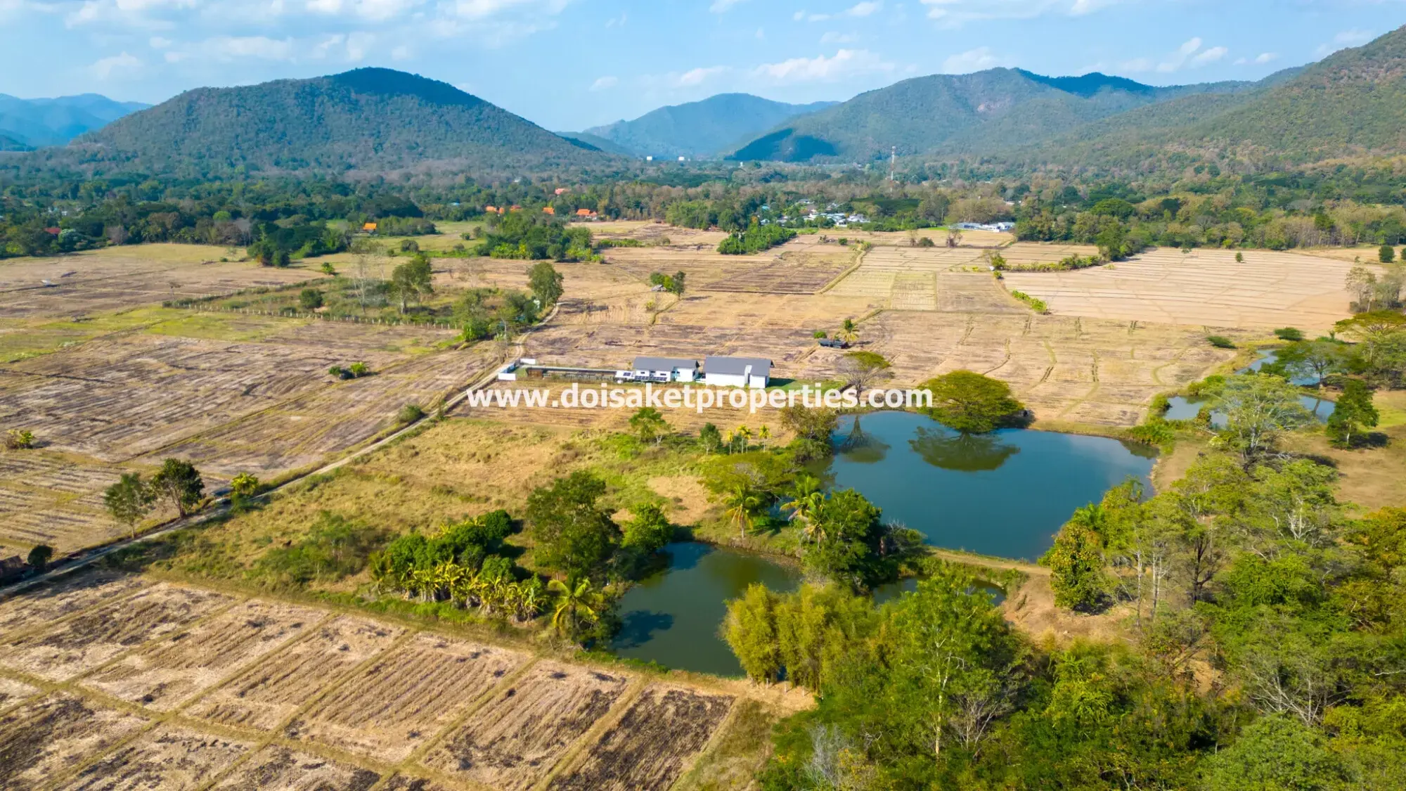 (LS391-49) Beautiful ~49 Rai Plot of Land with Incredible Views for Sale in Luang Nua, Doi Saket
