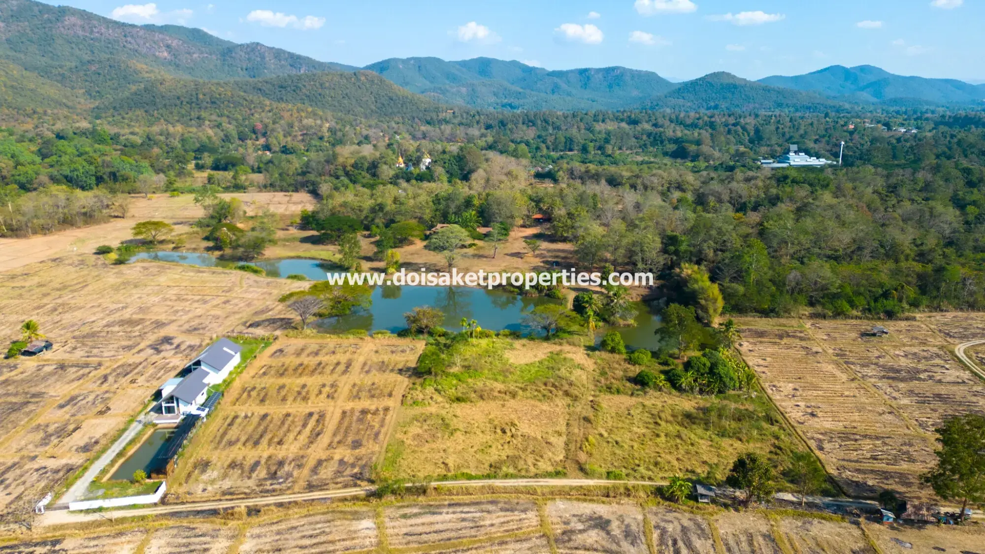 (LS391-49) Beautiful ~49 Rai Plot of Land with Incredible Views for Sale in Luang Nua, Doi Saket