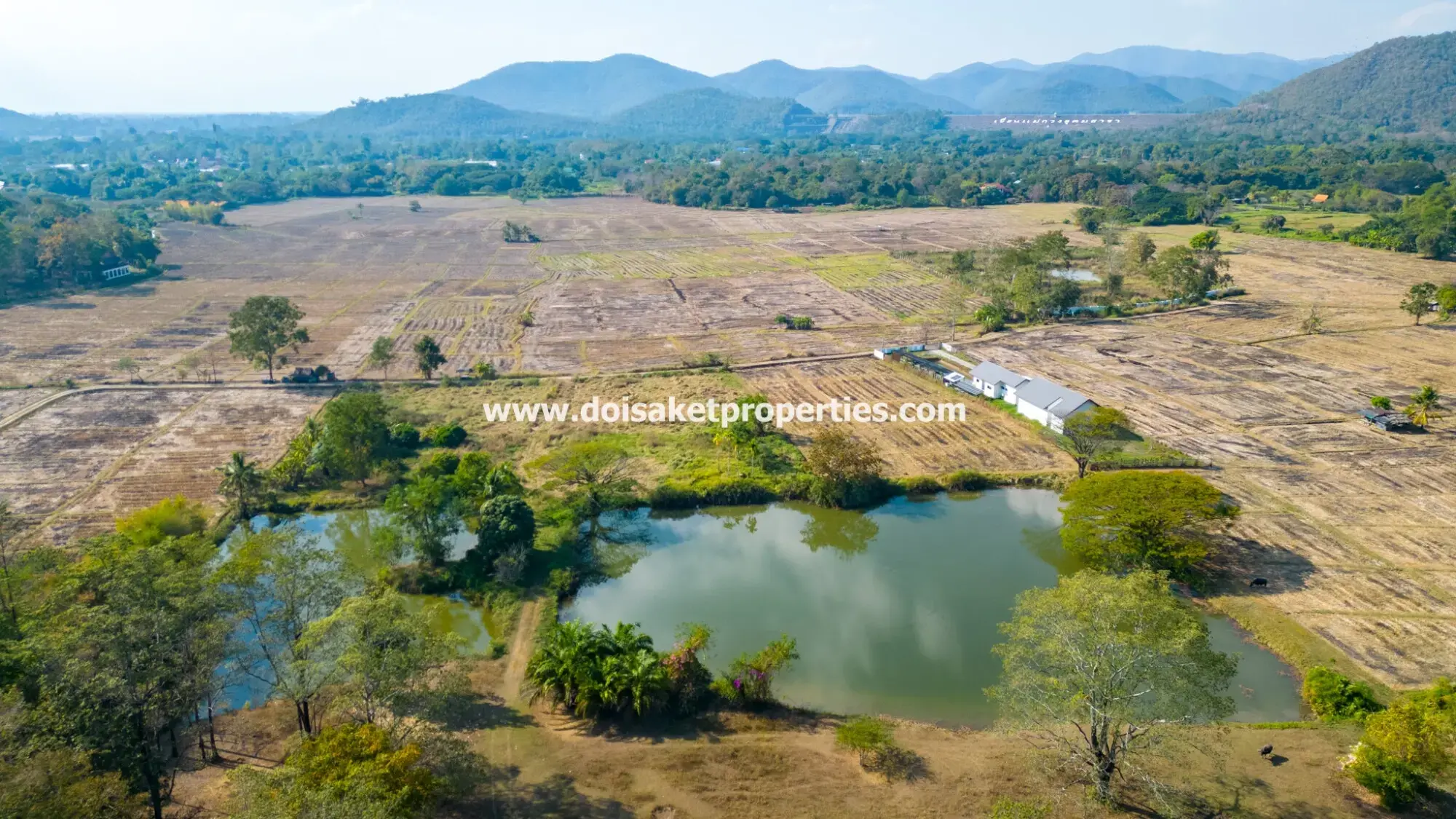 (LS392-68) Amazing 68+ Rai Plot of Land with Stunning Views for Sale in Luang Nua, Doi Saket