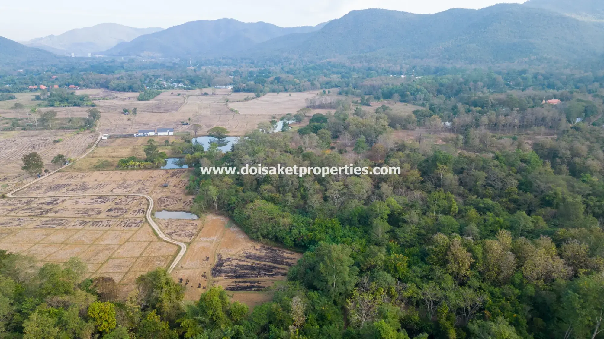 (LS392-68) Amazing 68+ Rai Plot of Land with Stunning Views for Sale in Luang Nua, Doi Saket