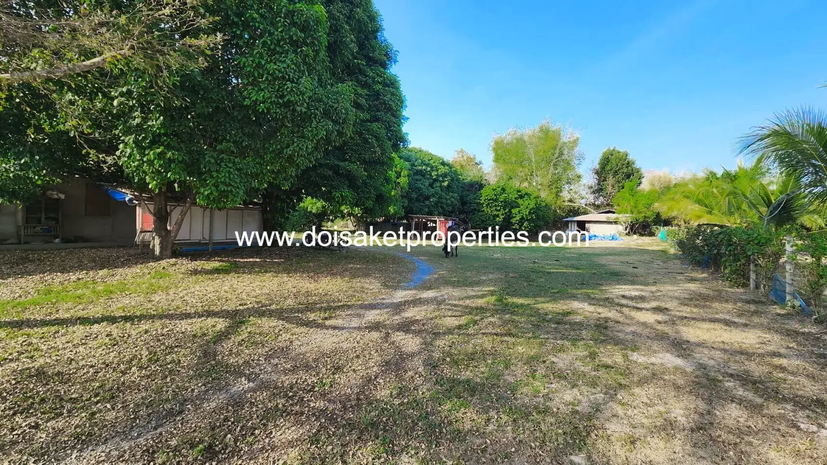 (LS395-02) 2 Rai of Nice Land for Sale in Mae Pong, Doi Saket, Chiang Mai