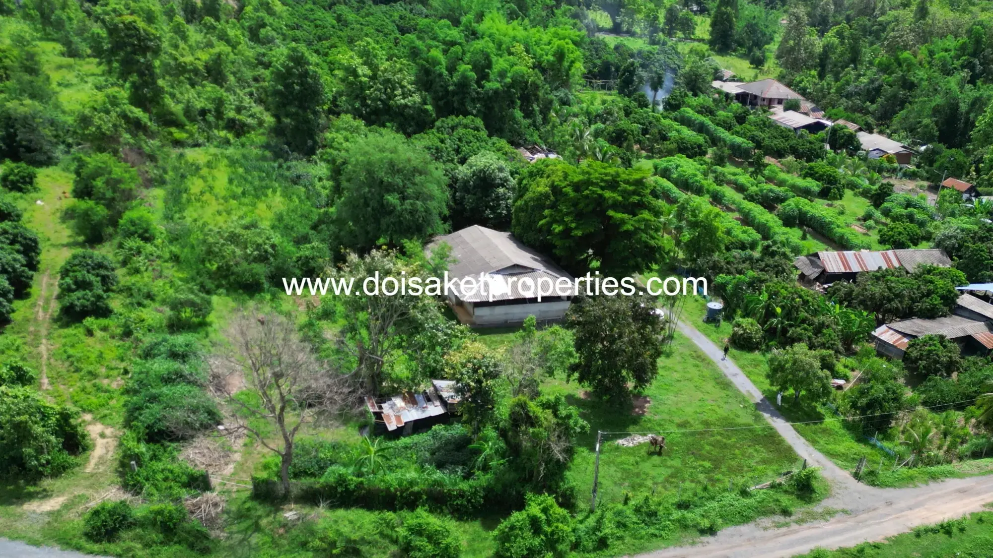 (LS395-02) 2 Rai of Nice Land for Sale in Mae Pong, Doi Saket, Chiang Mai