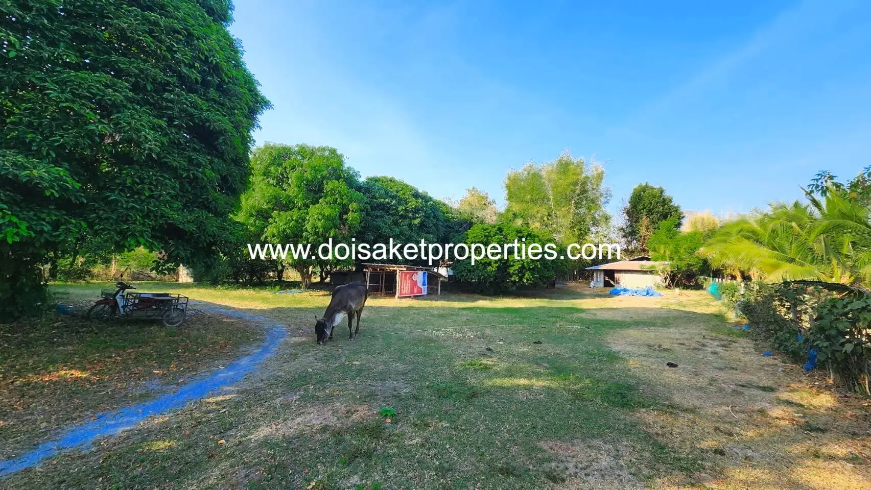 (LS395-02) 2 Rai of Nice Land for Sale in Mae Pong, Doi Saket, Chiang Mai