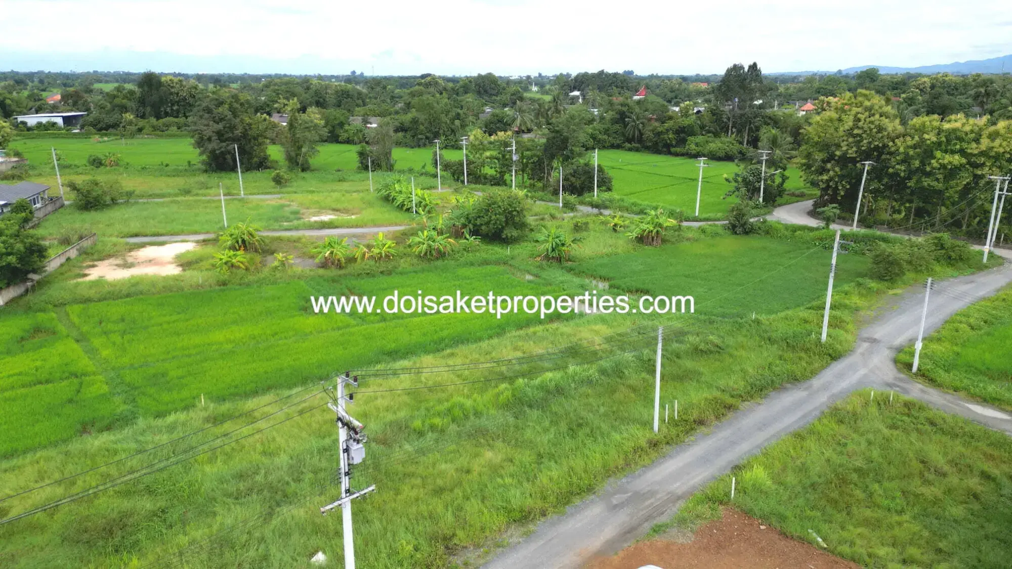 (LS397-00) Nice 2 Ngan Plot of Land for Sale in Choeng Doi, Doi Saket, Chiang Mai