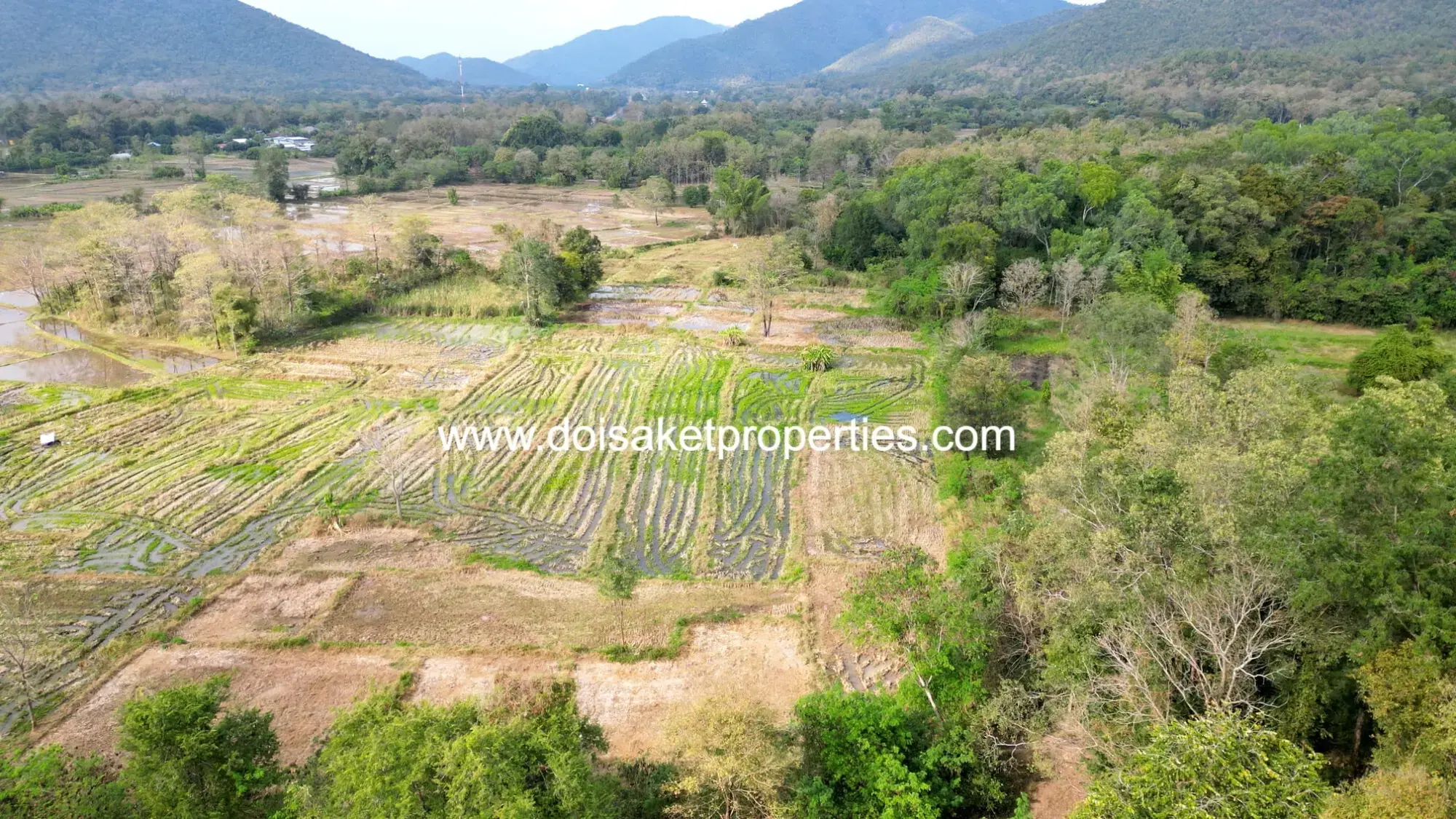 (LS400-07) 7-Rai Plot of Land for Sale in Luang Nuea, Doi Saket