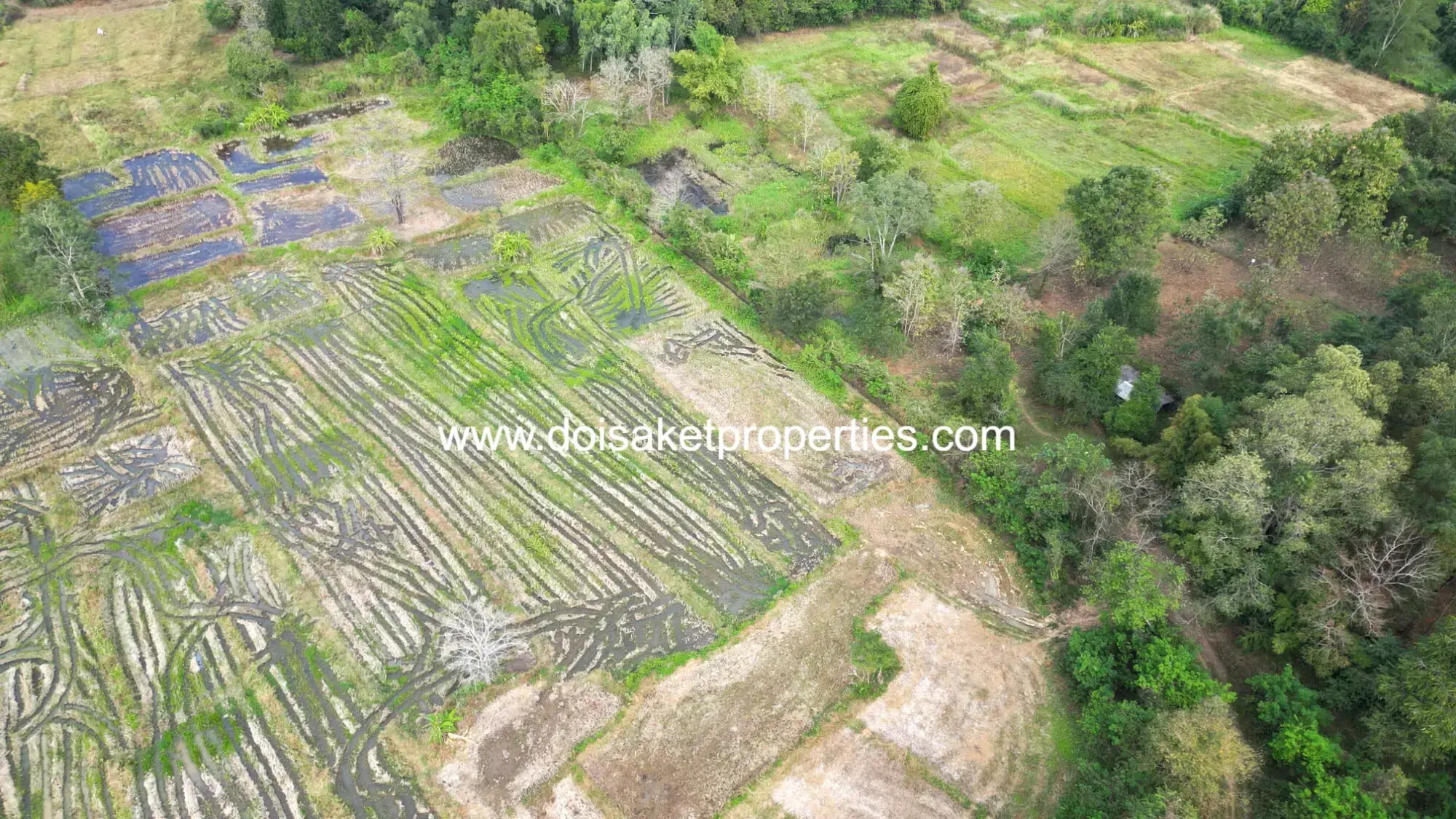 (LS400-07) 7-Rai Plot of Land for Sale in Luang Nuea, Doi Saket