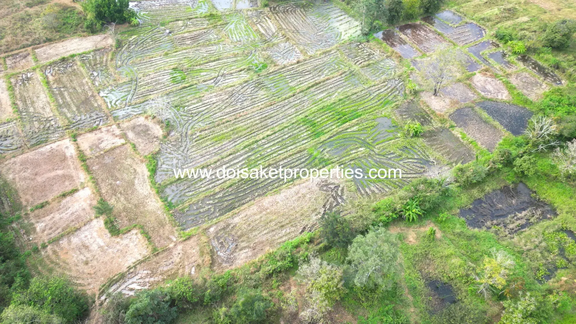 (LS400-07) 7-Rai Plot of Land for Sale in Luang Nuea, Doi Saket