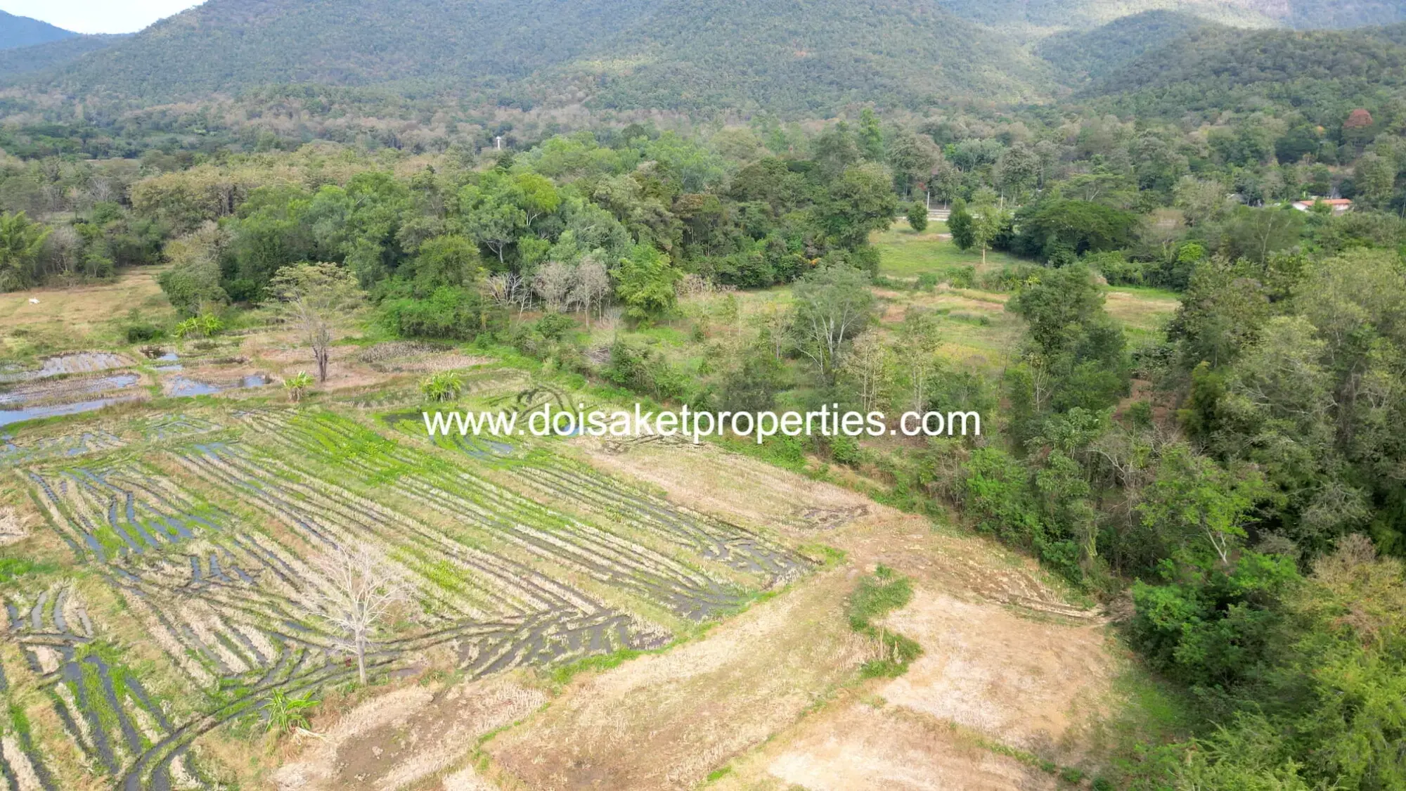 (LS400-07) 7-Rai Plot of Land for Sale in Luang Nuea, Doi Saket