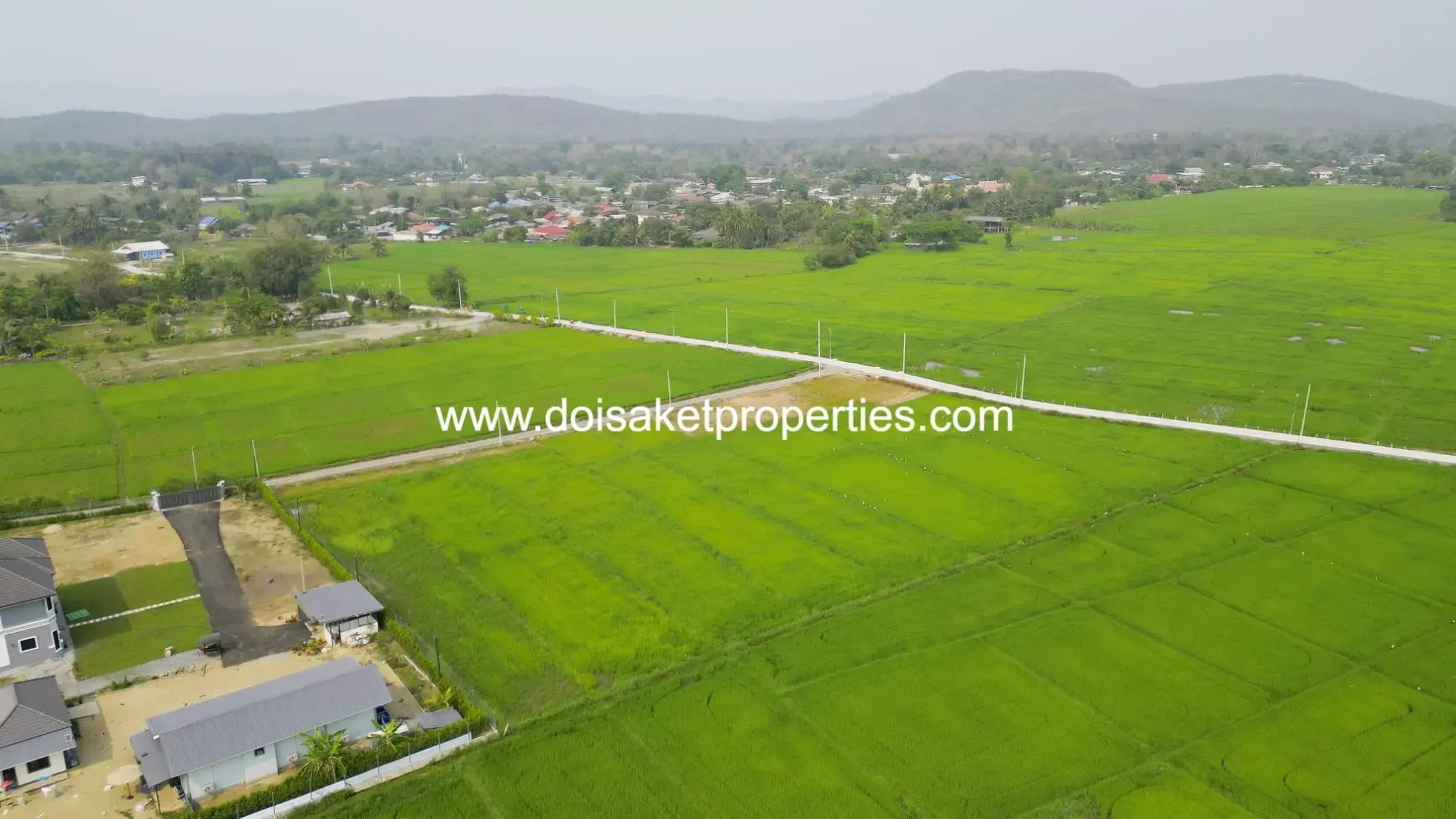 (LS407-06) Scenic ~6 Rai Plot of Land with Expansive Rice Fields, Stunning Mountain Views, and a Peaceful Atmosphere for Sale in Pa Pong, Doi Saket, Chiang Mai