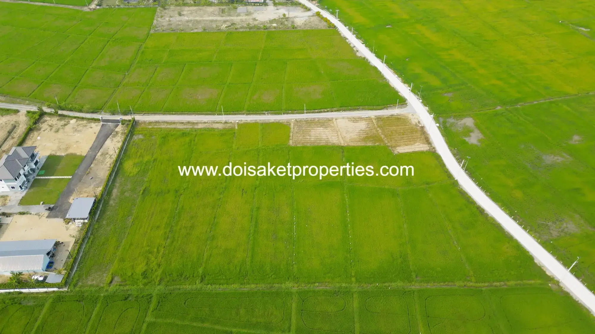 (LS407-06) Scenic ~6 Rai Plot of Land with Expansive Rice Fields, Stunning Mountain Views, and a Peaceful Atmosphere for Sale in Pa Pong, Doi Saket, Chiang Mai