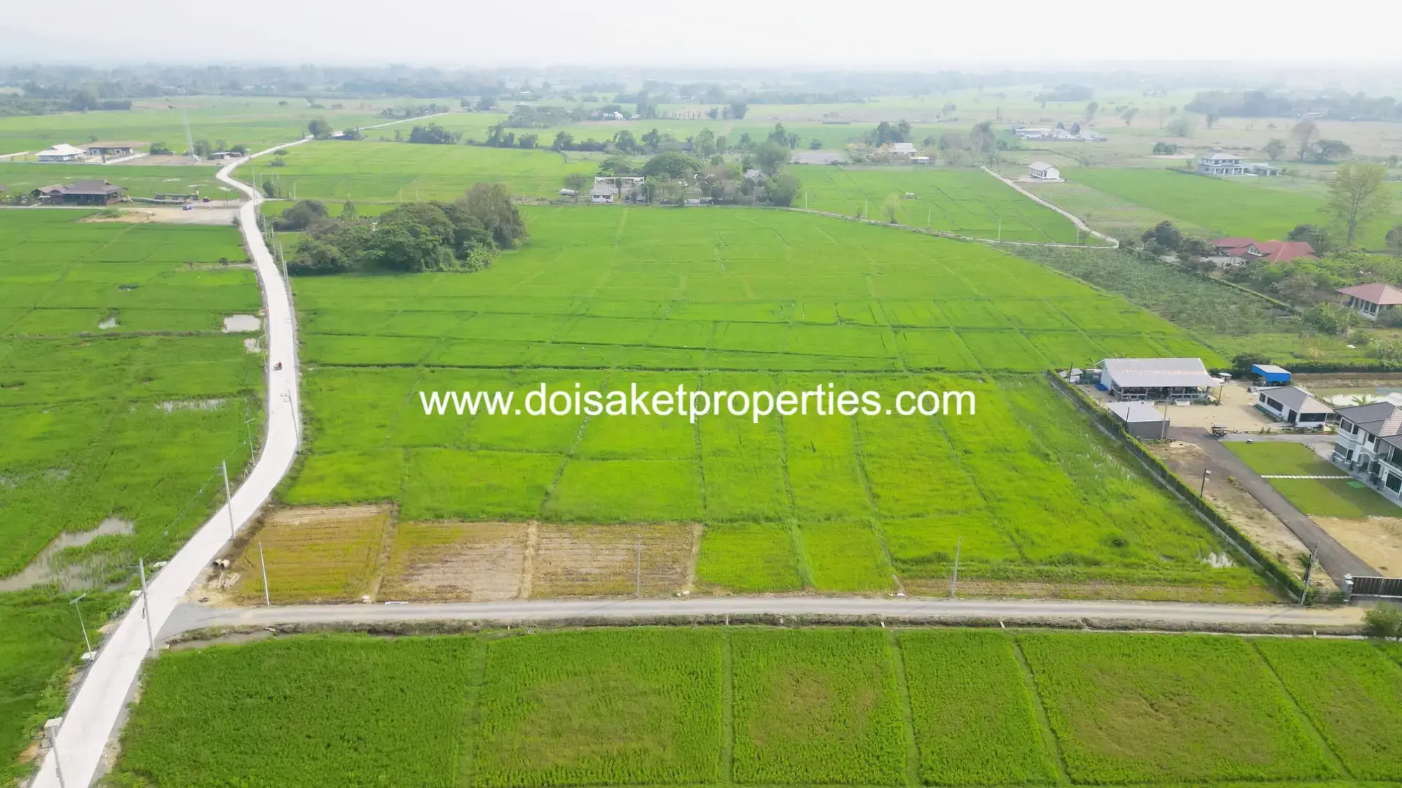 (LS407-06) Scenic ~6 Rai Plot of Land with Expansive Rice Fields, Stunning Mountain Views, and a Peaceful Atmosphere for Sale in Pa Pong, Doi Saket, Chiang Mai