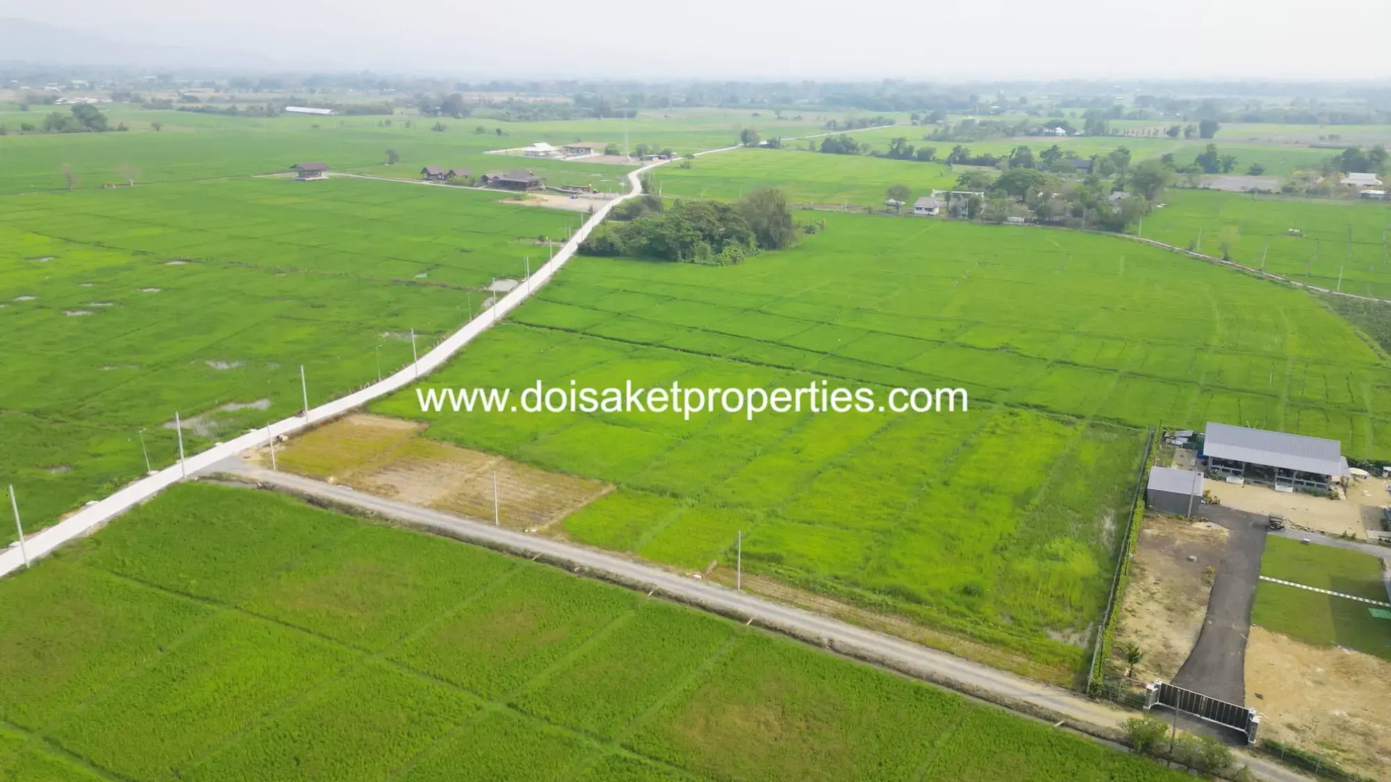 (LS407-06) Scenic ~6 Rai Plot of Land with Expansive Rice Fields, Stunning Mountain Views, and a Peaceful Atmosphere for Sale in Pa Pong, Doi Saket, Chiang Mai