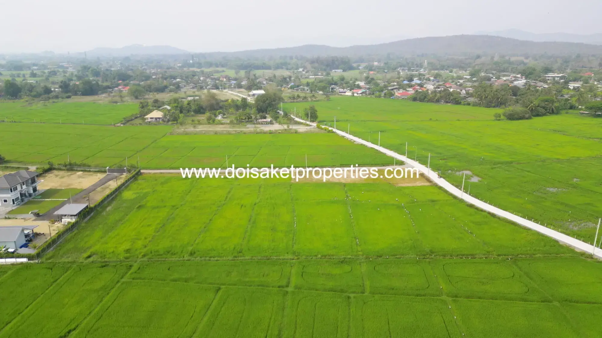 (LS407-06) Scenic ~6 Rai Plot of Land with Expansive Rice Fields, Stunning Mountain Views, and a Peaceful Atmosphere for Sale in Pa Pong, Doi Saket, Chiang Mai