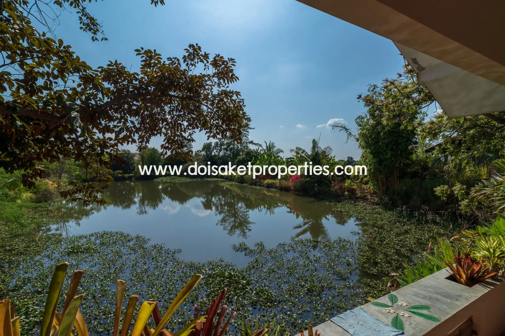 (LS406-04) Peaceful 4+ Rai Plot of Land with Homes and Mountain Views for Sale in Pa Pong, Doi Saket