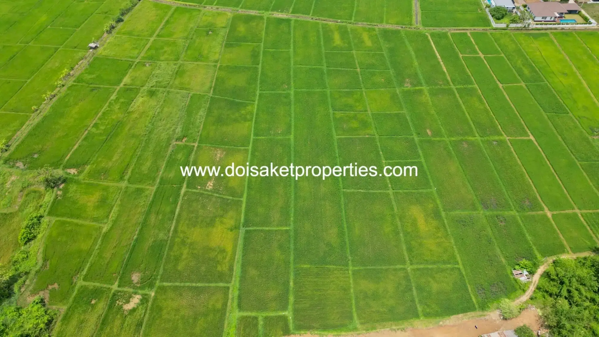 (LS408-40) Beautiful 40+ Rai Plot of Subdividable Land for Sale in Choeng Doi, Doi Saket, Chiang Mai