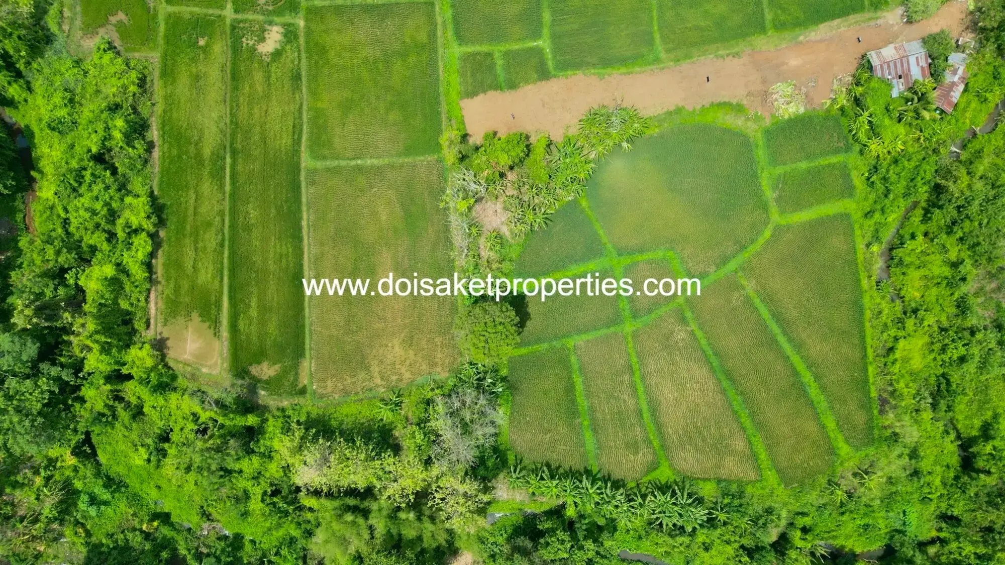 (LS408-40) Beautiful 40+ Rai Plot of Subdividable Land for Sale in Choeng Doi, Doi Saket, Chiang Mai