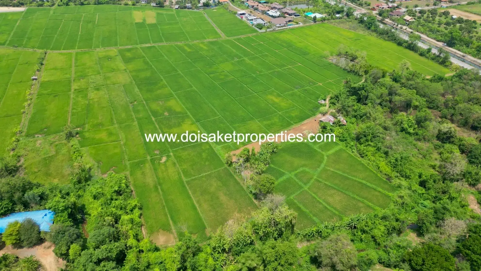 (LS408-40) Beautiful 40+ Rai Plot of Subdividable Land for Sale in Choeng Doi, Doi Saket, Chiang Mai