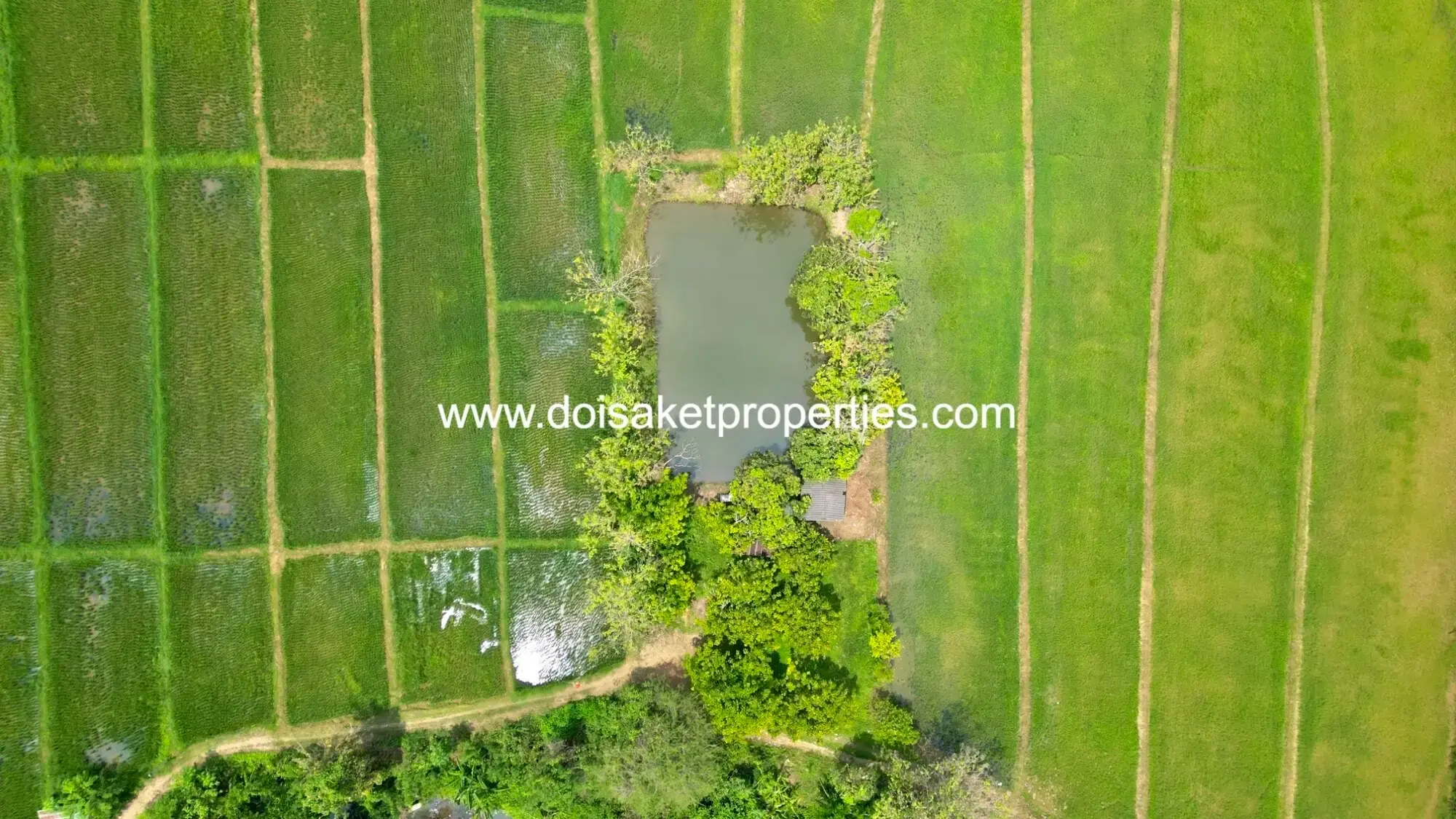 (LS408-40) Beautiful 40+ Rai Plot of Subdividable Land for Sale in Choeng Doi, Doi Saket, Chiang Mai