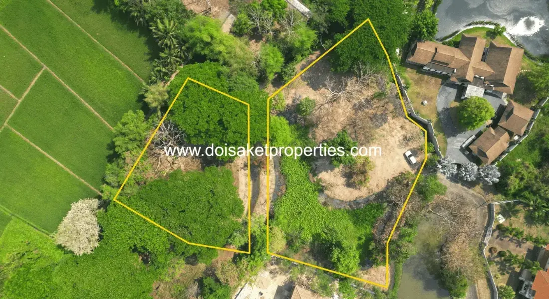 (LS409-03) Tranquil, Tree-Shaded Plot with Scenic Rice Field Views for Sale in Choeng Doi, Doi Saket, Chiang Mai