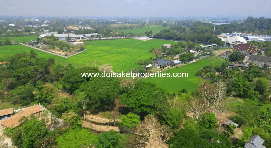 (LS409-03) Tranquil, Tree-Shaded Plot with Scenic Rice Field Views for Sale in Choeng Doi, Doi Saket, Chiang Mai