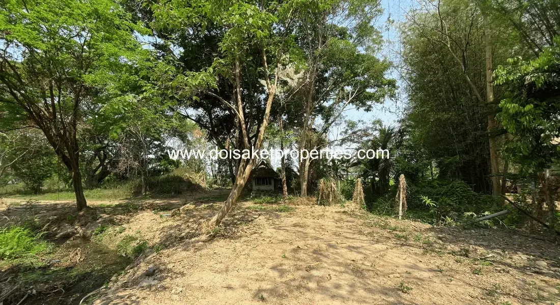 (LS409-03) Tranquil, Tree-Shaded Plot with Scenic Rice Field Views for Sale in Choeng Doi, Doi Saket, Chiang Mai