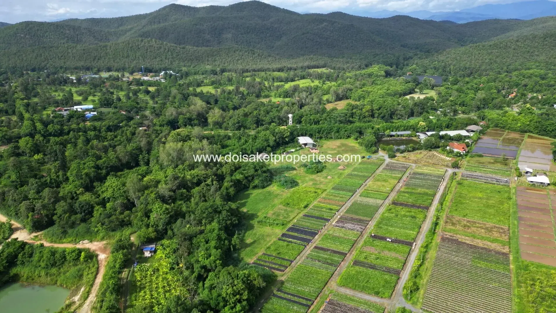 (LS413-10) Ready-to-Build Plot with Panoramic Views and Flower Farm Next Door for Sale in Pa Pong, Doi Saket, Chiang Mai