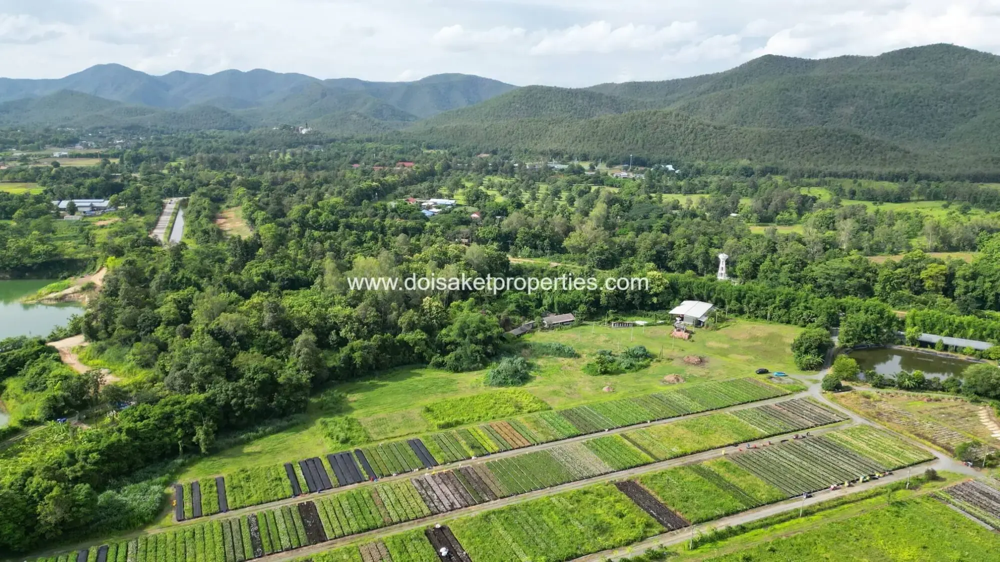 (LS413-10) Ready-to-Build Plot with Panoramic Views and Flower Farm Next Door for Sale in Pa Pong, Doi Saket, Chiang Mai