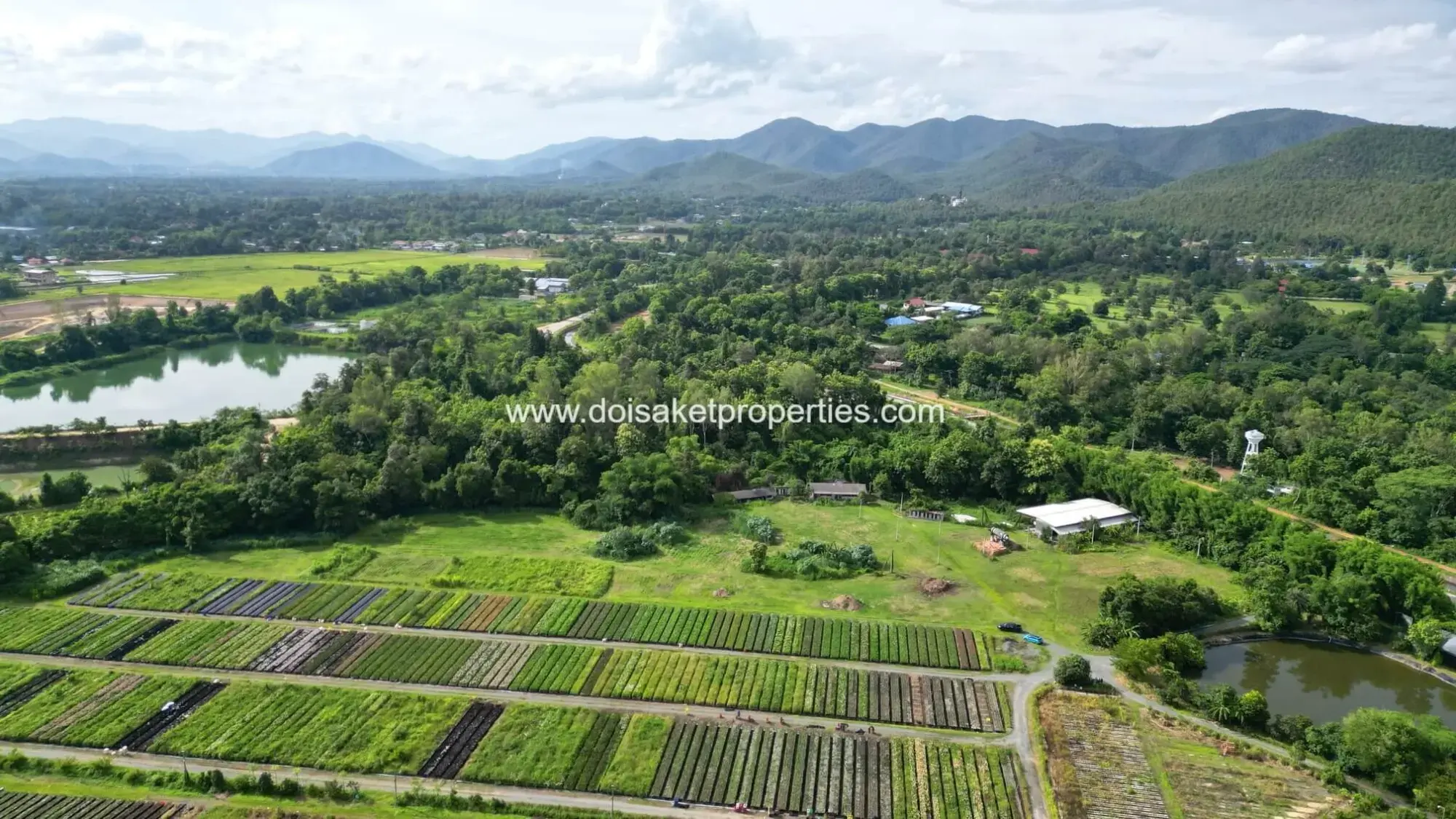 (LS413-10) Ready-to-Build Plot with Panoramic Views and Flower Farm Next Door for Sale in Pa Pong, Doi Saket, Chiang Mai