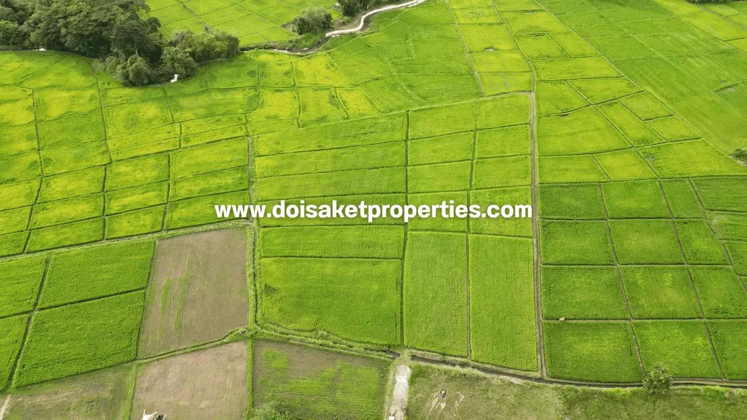 (LS414-07) Lovely 7-Rai Plot of Countryside Land Surrounded by Rice Fields and Mountain Views for Sale in Luang Nuea, Doi Saket, Chiang Mai