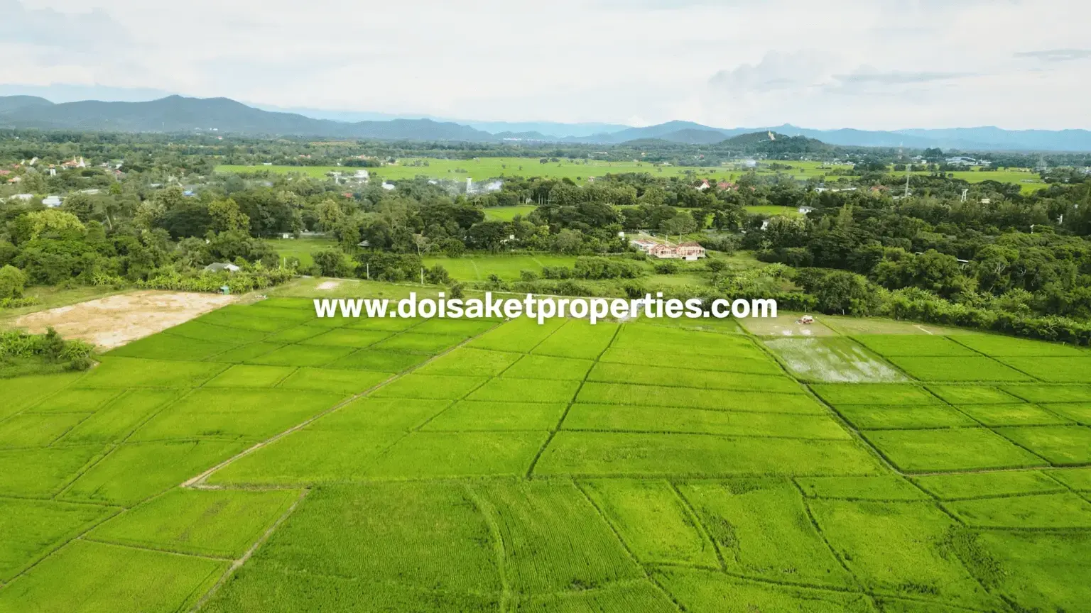 (LS414-07) Lovely 7-Rai Plot of Countryside Land Surrounded by Rice Fields and Mountain Views for Sale in Luang Nuea, Doi Saket, Chiang Mai