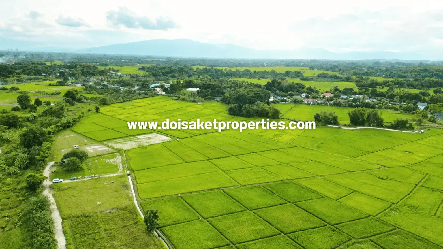 (LS414-07) Lovely 7-Rai Plot of Countryside Land Surrounded by Rice Fields and Mountain Views for Sale in Luang Nuea, Doi Saket, Chiang Mai