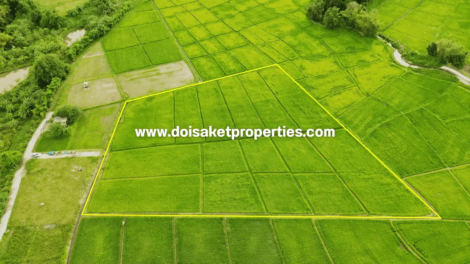(LS414-07) Lovely 7-Rai Plot of Countryside Land Surrounded by Rice Fields and Mountain Views for Sale in Luang Nuea, Doi Saket, Chiang Mai