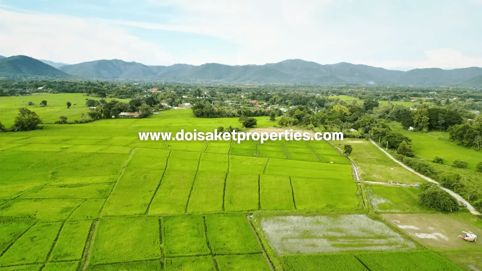 (LS414-07) Lovely 7-Rai Plot of Countryside Land Surrounded by Rice Fields and Mountain Views for Sale in Luang Nuea, Doi Saket, Chiang Mai